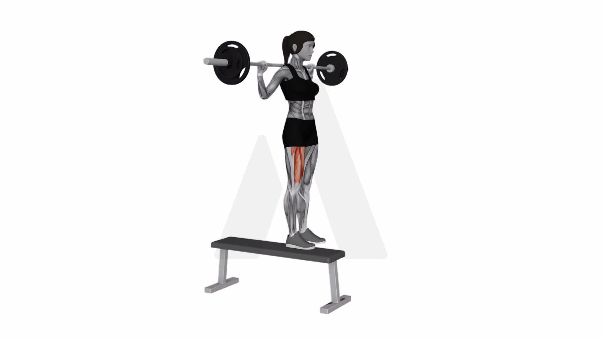 Barbell Bench Lateral Step Up exercise demonstration