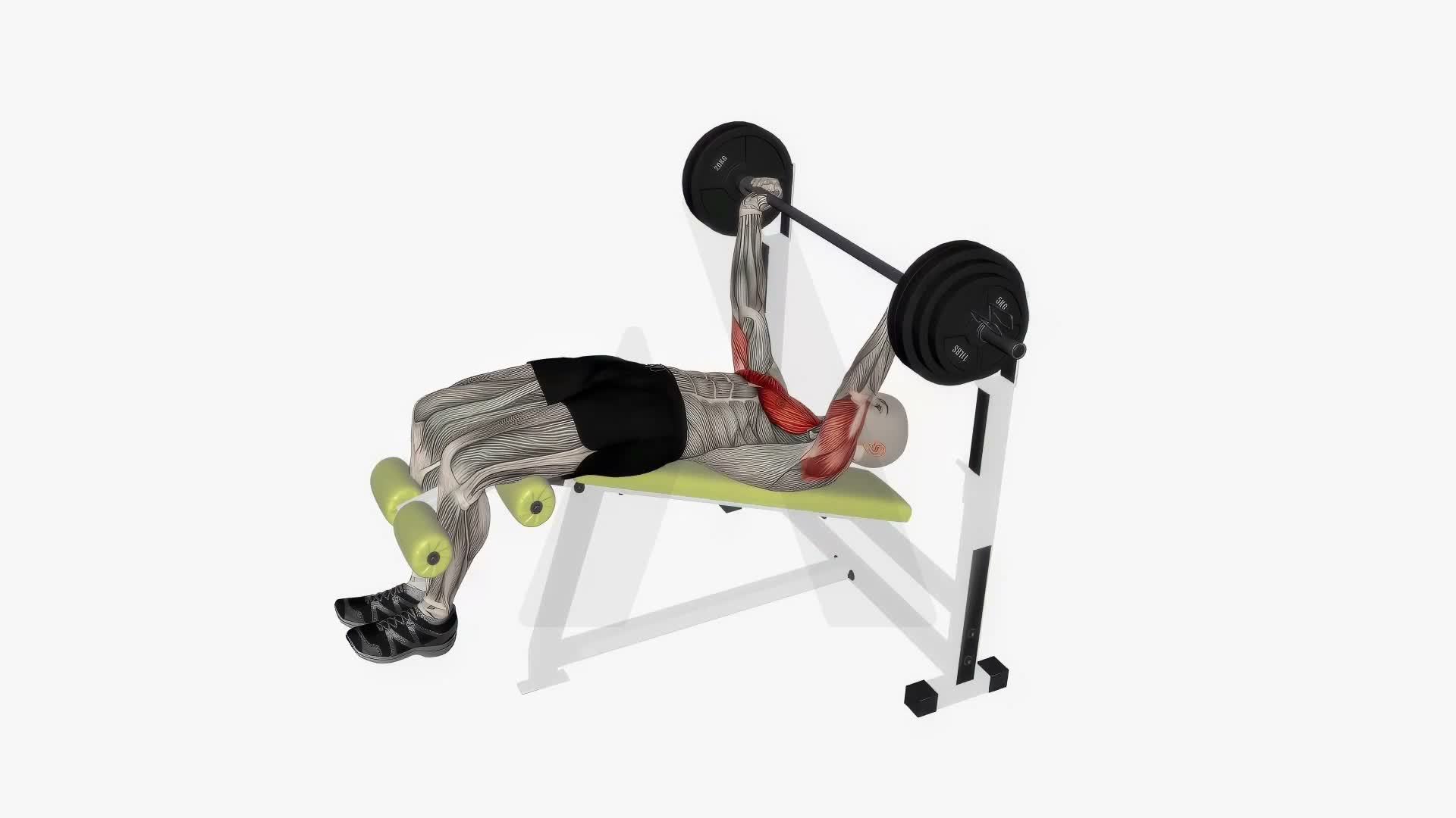 Barbell Bench Press Decline exercise demonstration