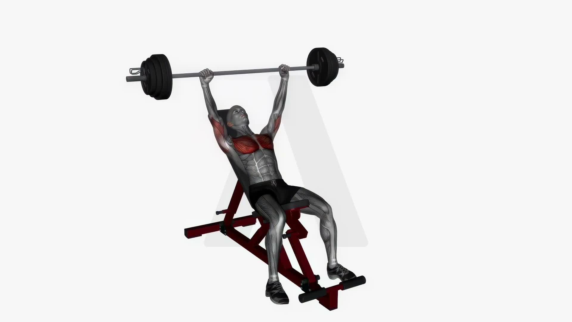 Barbell Bench Press Incline exercise demonstration