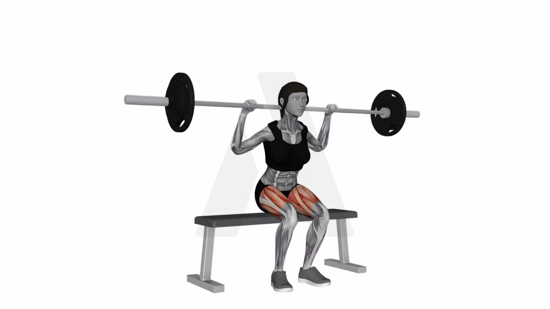 Barbell Bench Squat exercise demonstration