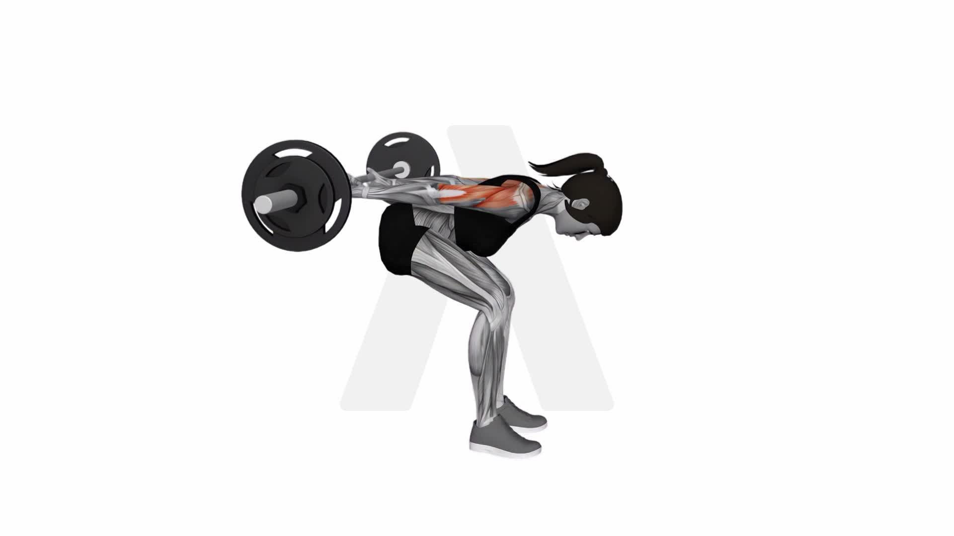 Barbell Bent Over Reverse Raise (Skier) exercise demonstration