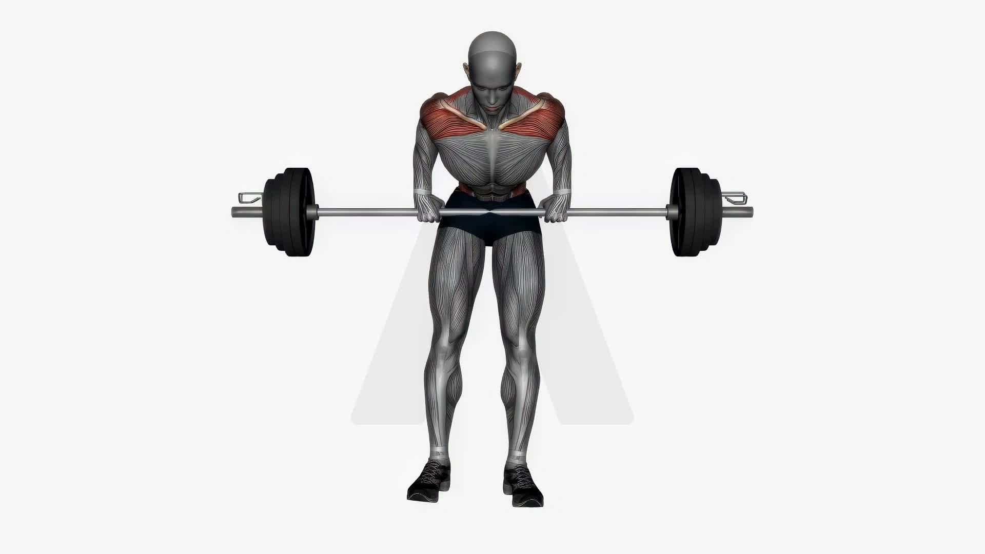 Barbell Bent Over Row Pronated Grip exercise demonstration