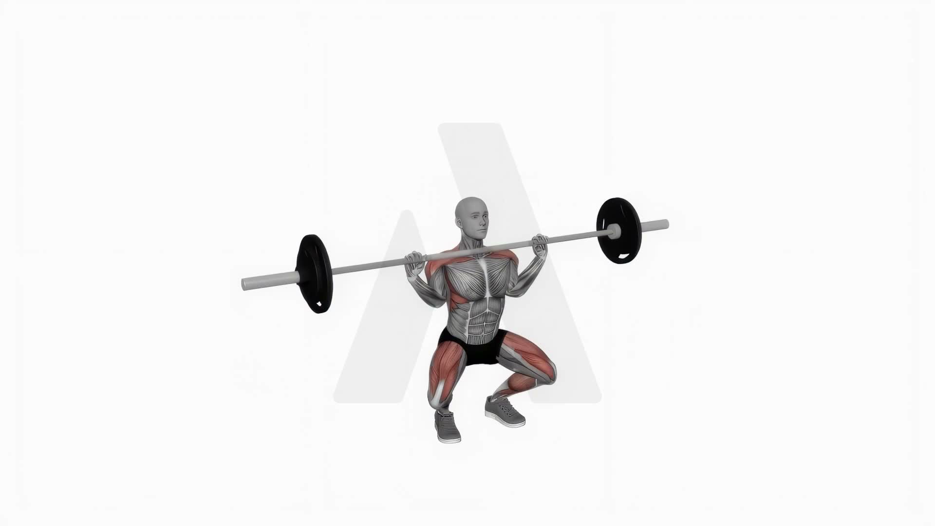 Barbell Clean And Jerk Split Squat exercise demonstration