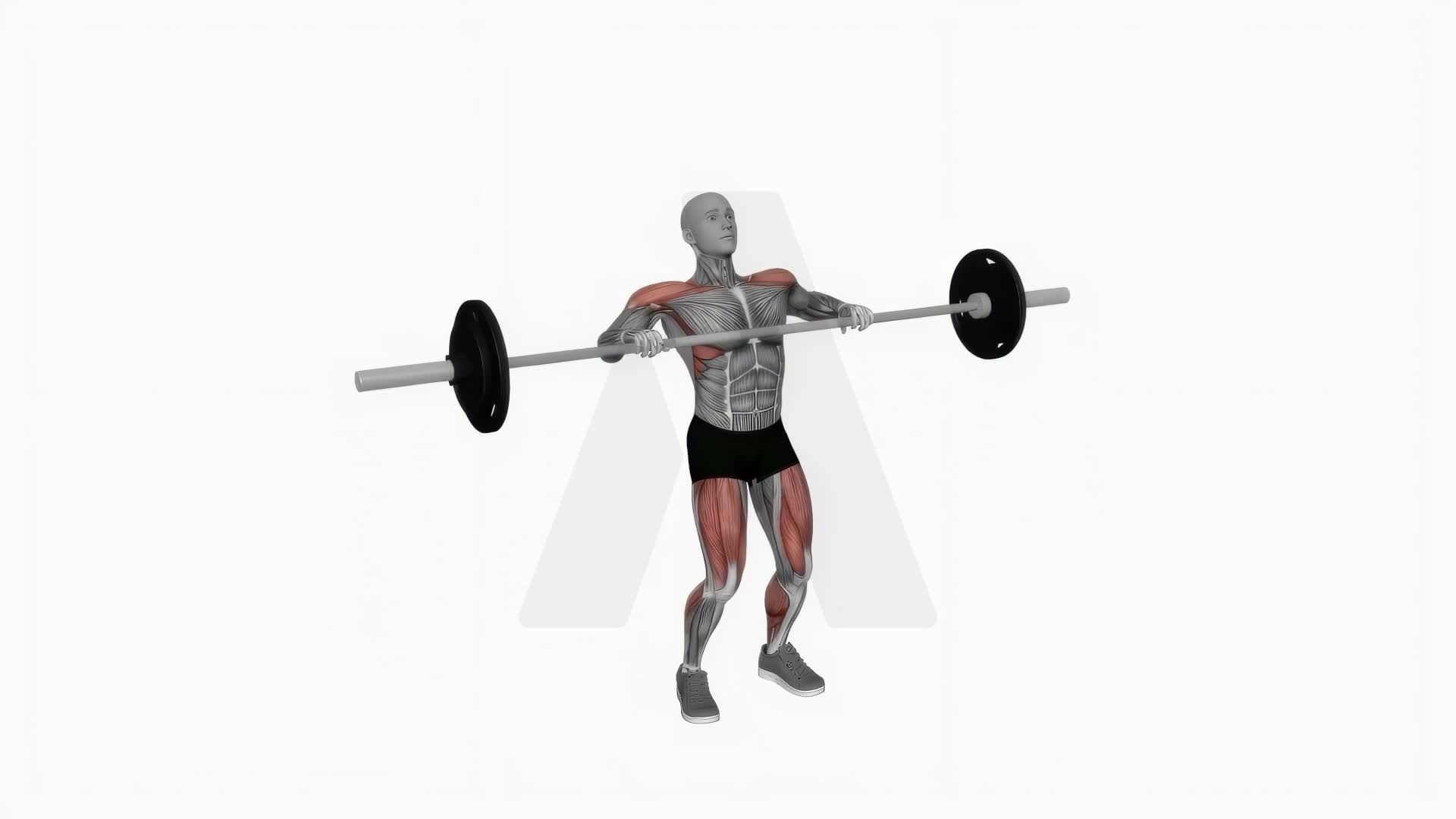 Barbell Clean And Press exercise demonstration