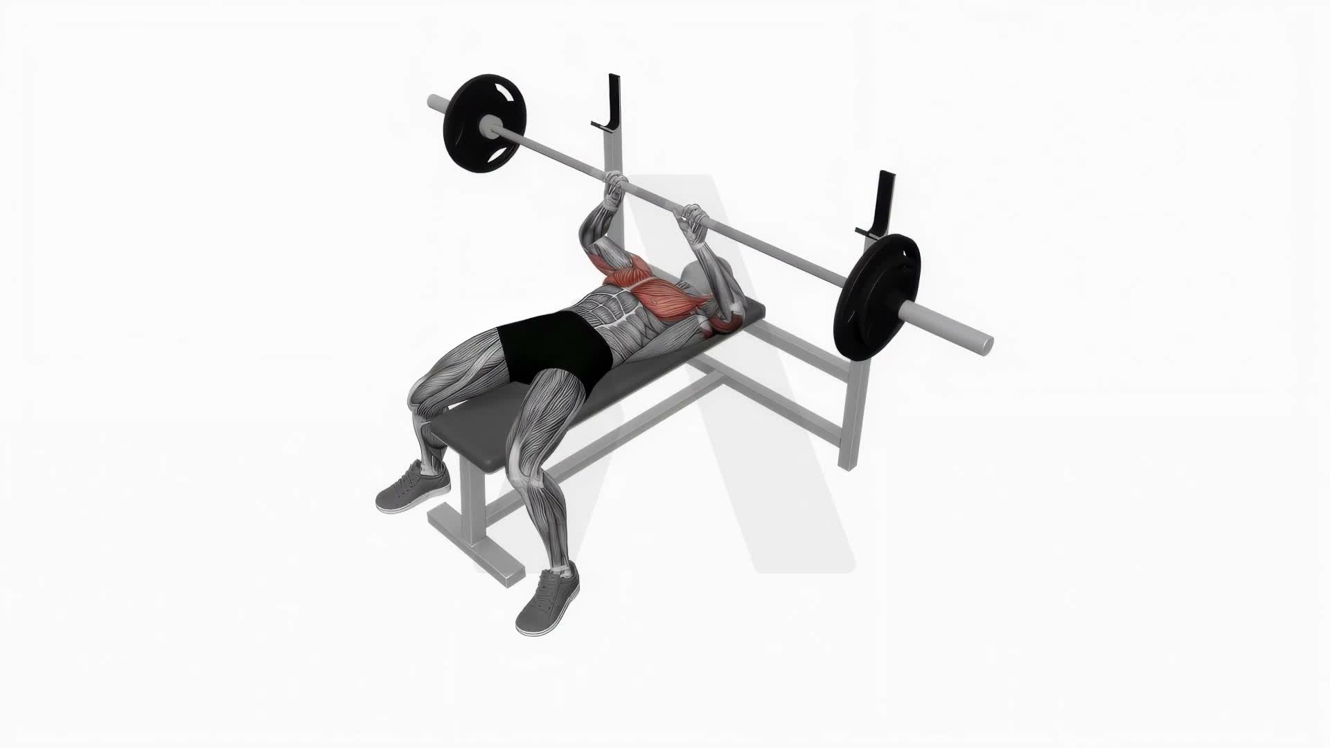 Barbell Close Grip Bench Press exercise demonstration