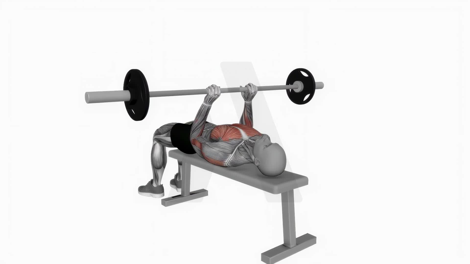 Barbell Close Grip Press exercise demonstration