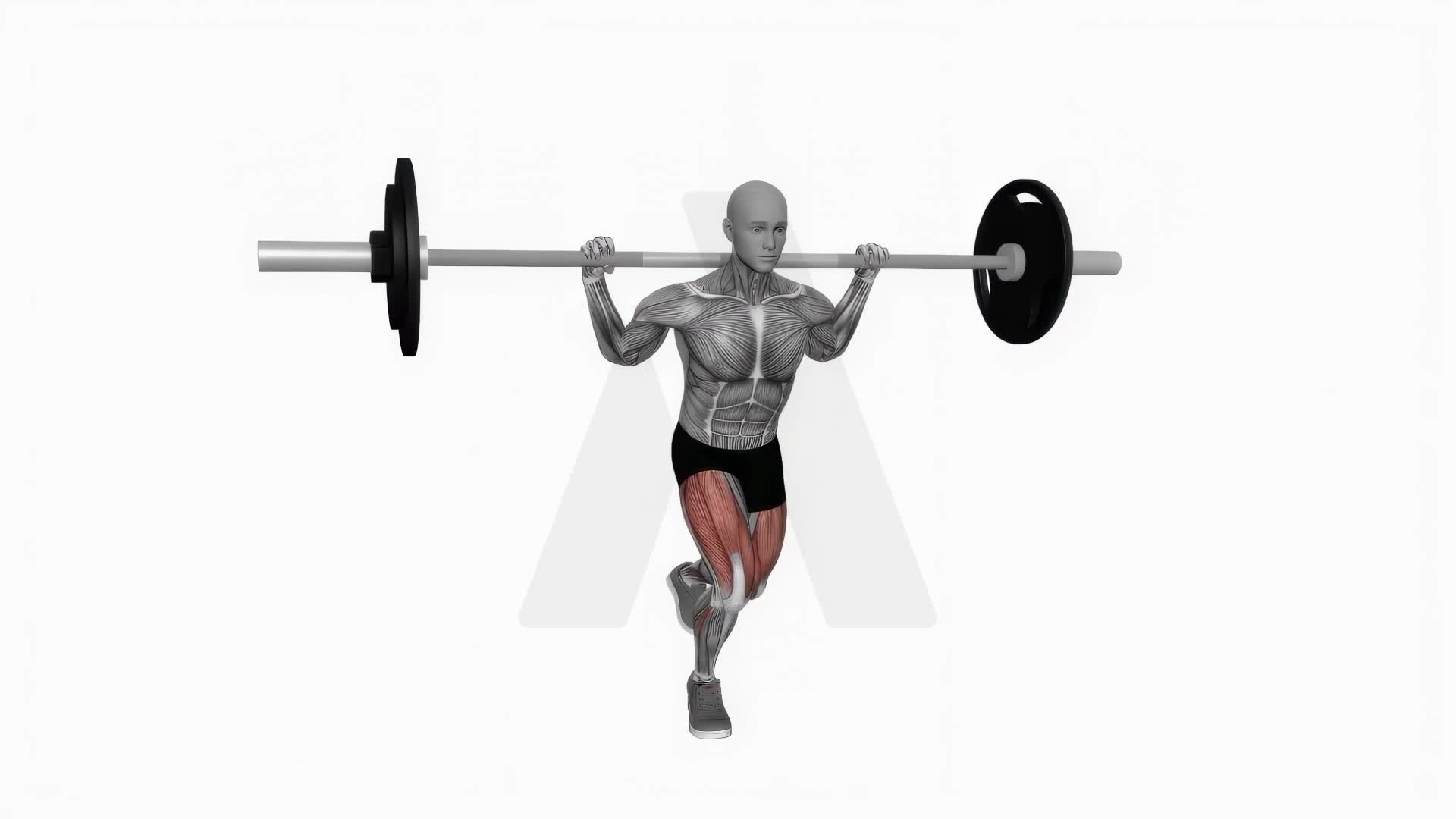 Barbell Curtsy Lunges exercise demonstration