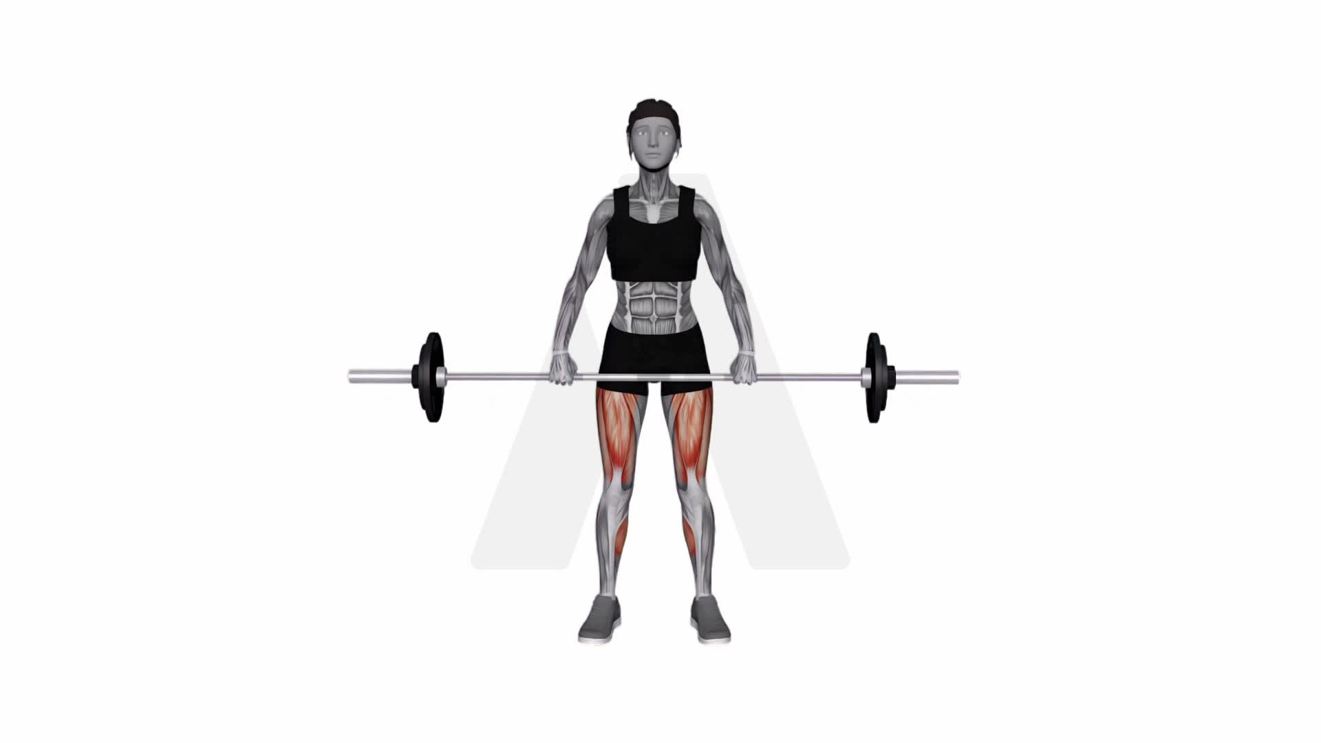 Barbell Deadlift (Front Pov) exercise demonstration
