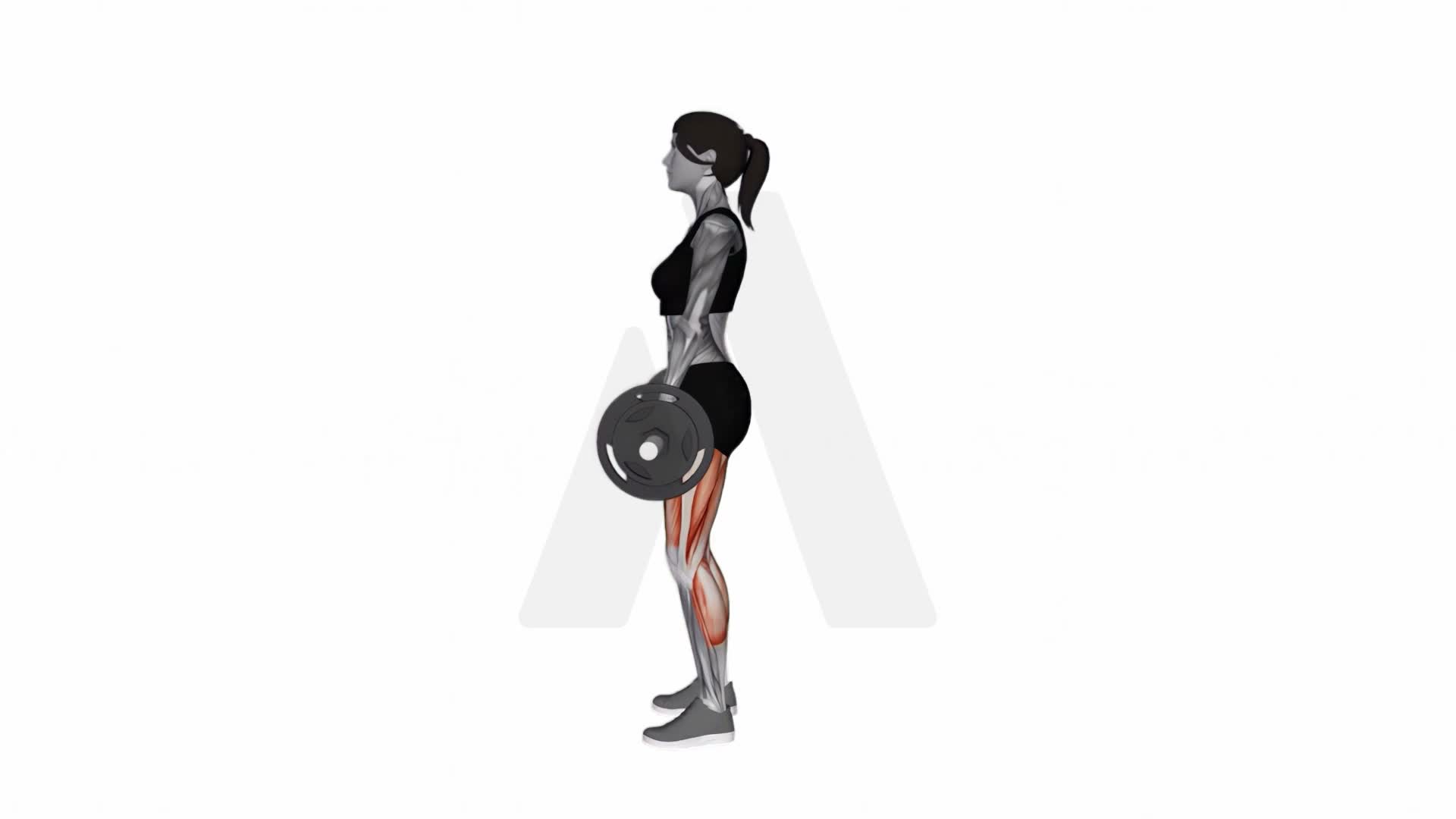Barbell Deadlift (Side Pov) exercise demonstration
