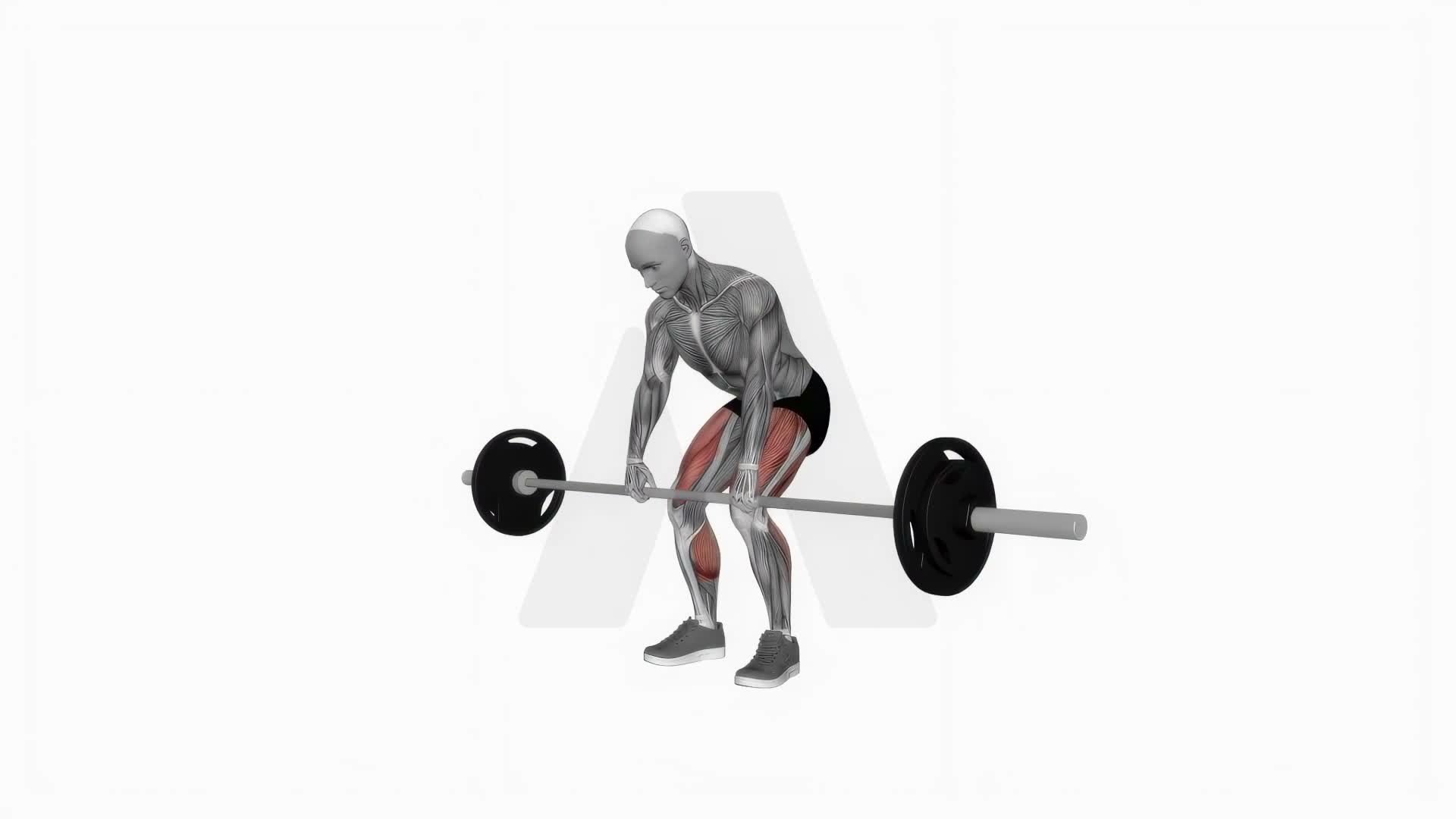 Barbell Deadlift 360 Degrees exercise demonstration