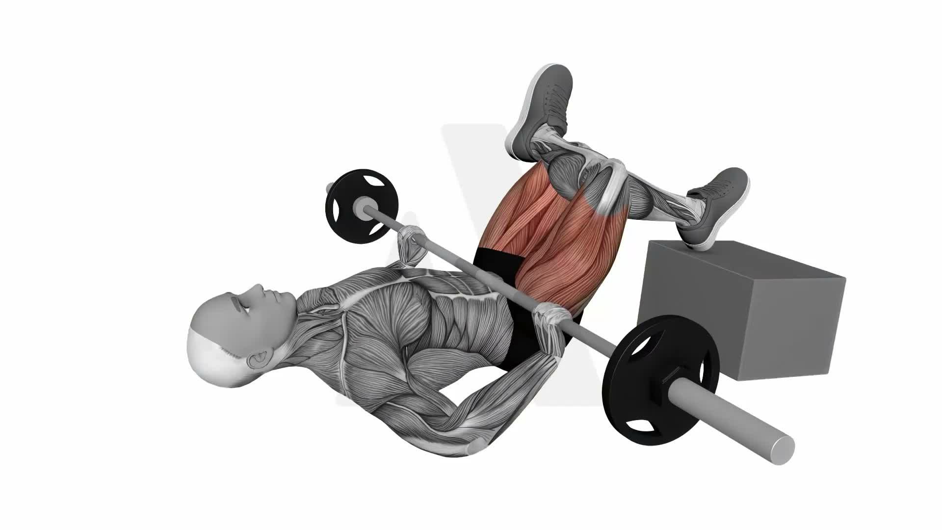 Barbell Feet Elevated Figure Four Glute Bridge exercise demonstration