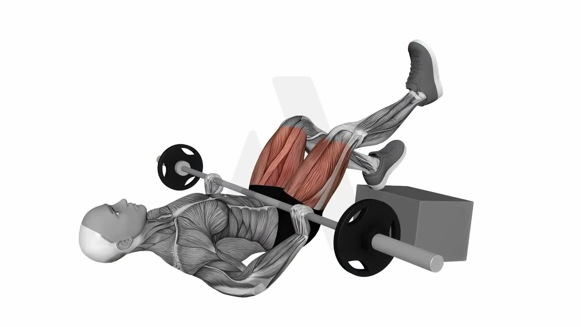 Barbell Feet Elevated Single Leg Glute Bridge exercise demonstration