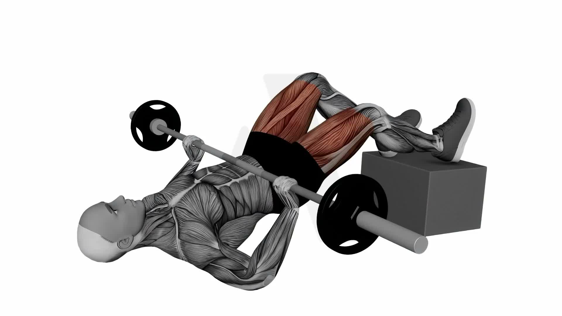 Barbell Feet Elevated Staggered Glute Bridge exercise demonstration