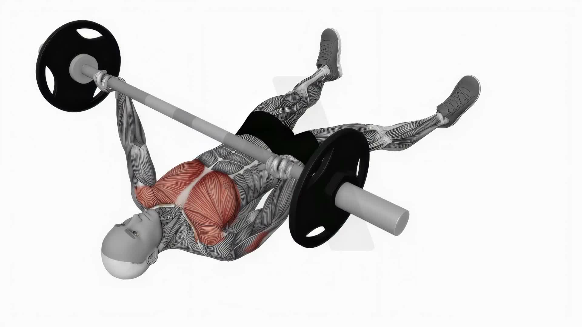 Barbell Floor Chest Press exercise demonstration