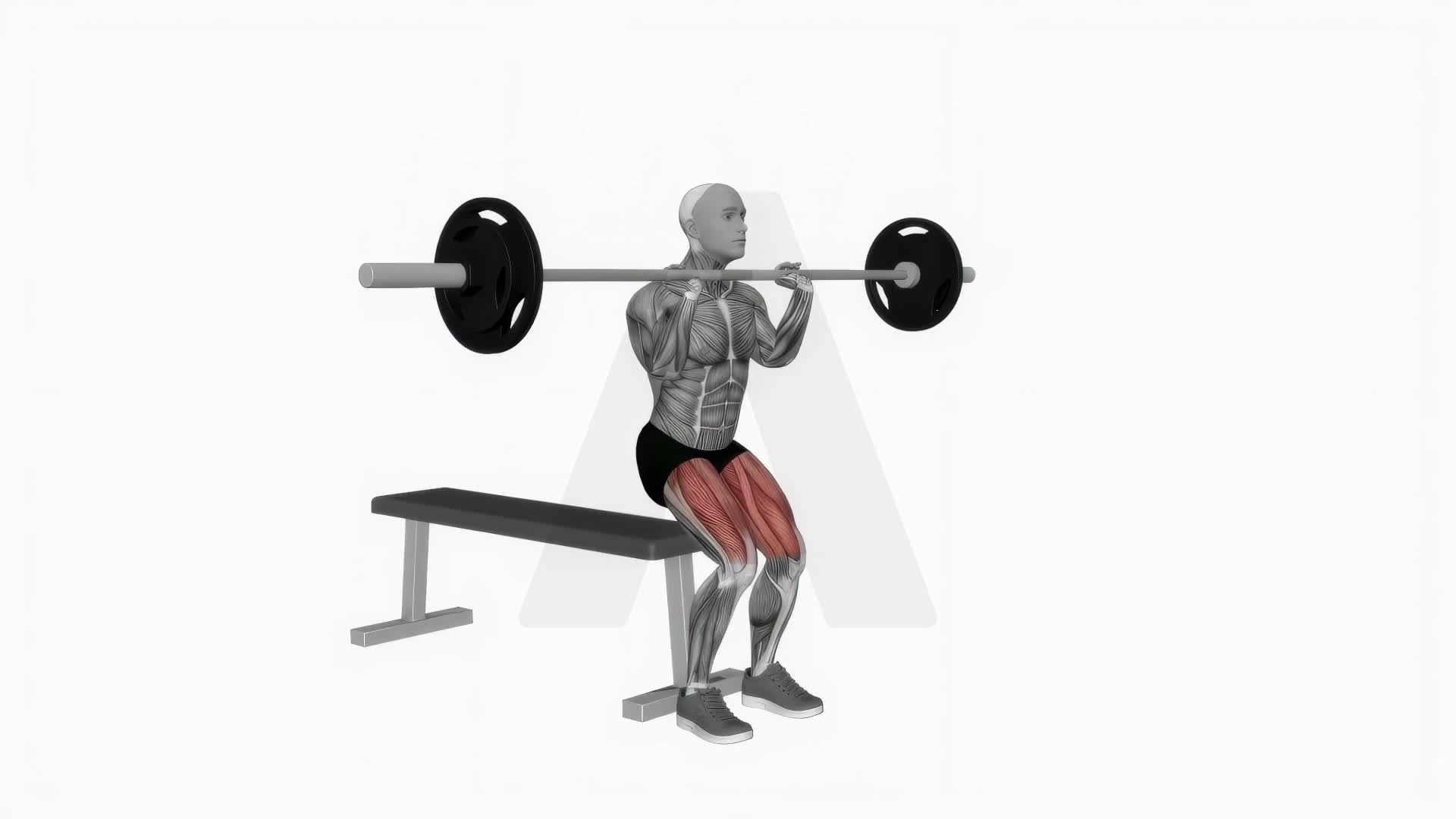 Barbell Front Chest Bench Squat exercise demonstration