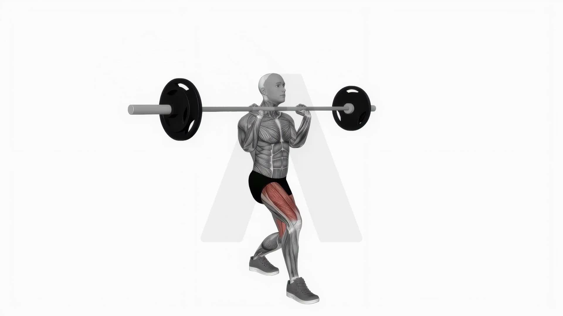Barbell Front Chest Lunges exercise demonstration