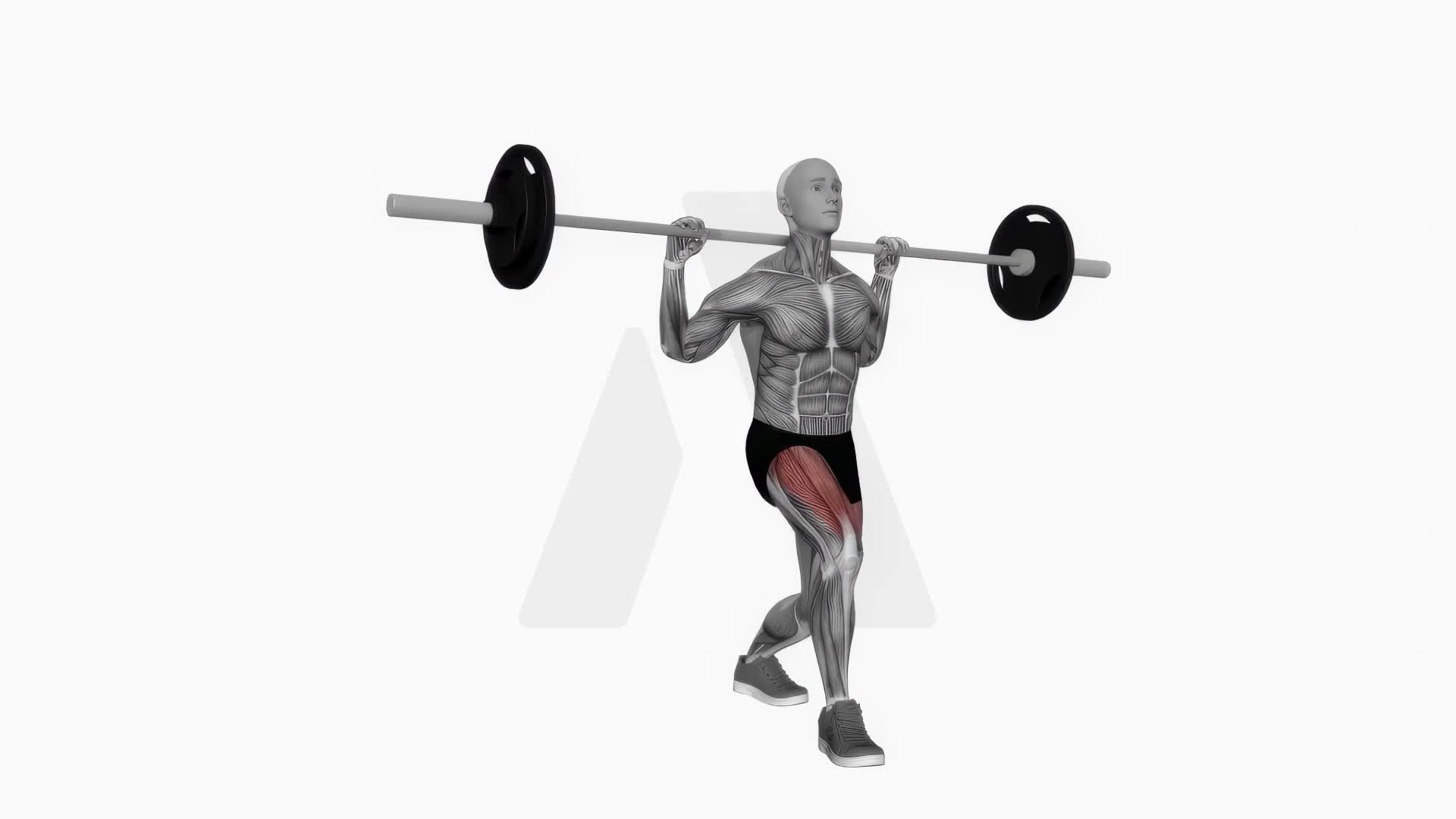 Barbell Front Lunges With Small Pause exercise demonstration