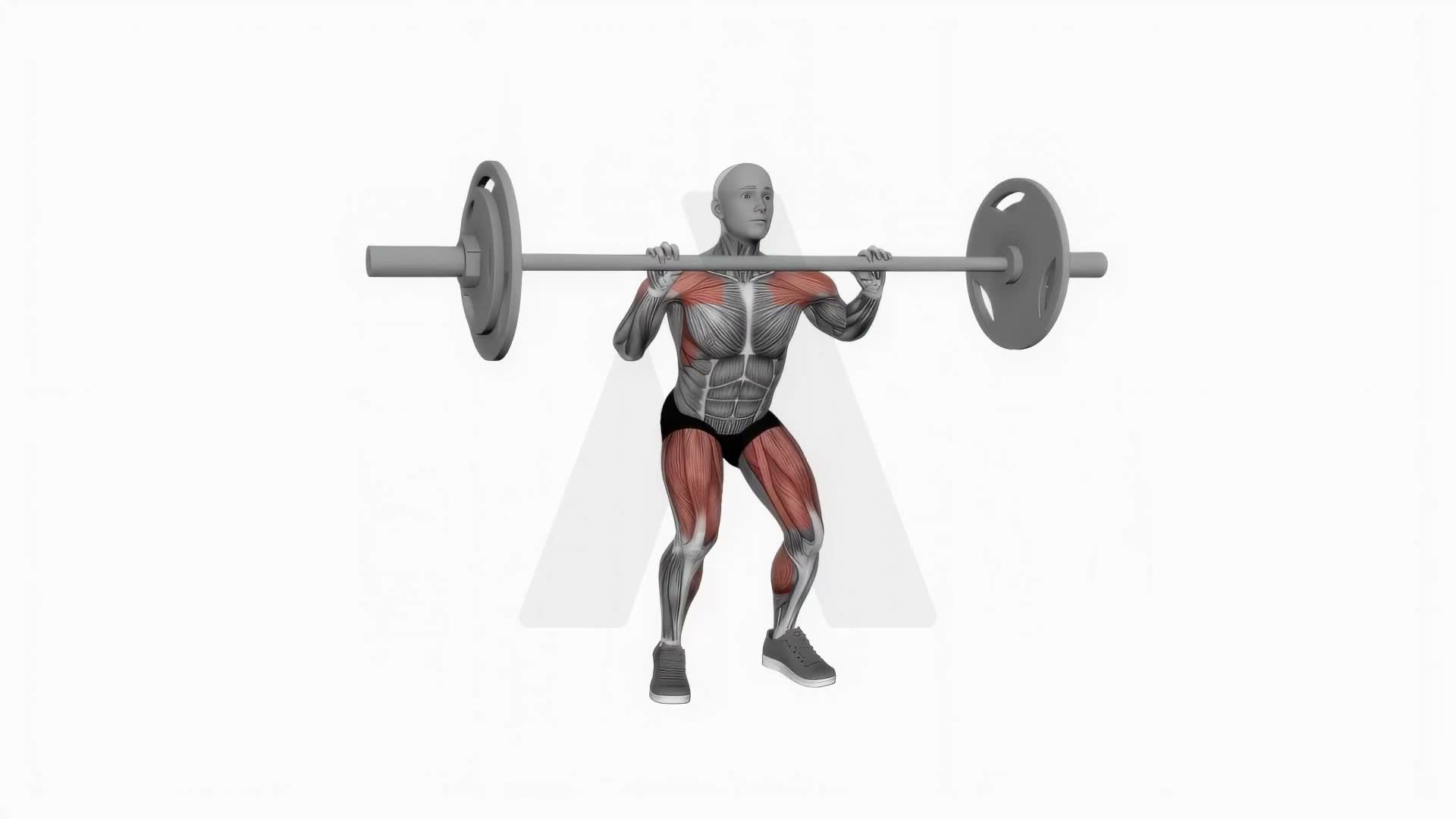 Barbell Full Clean exercise demonstration
