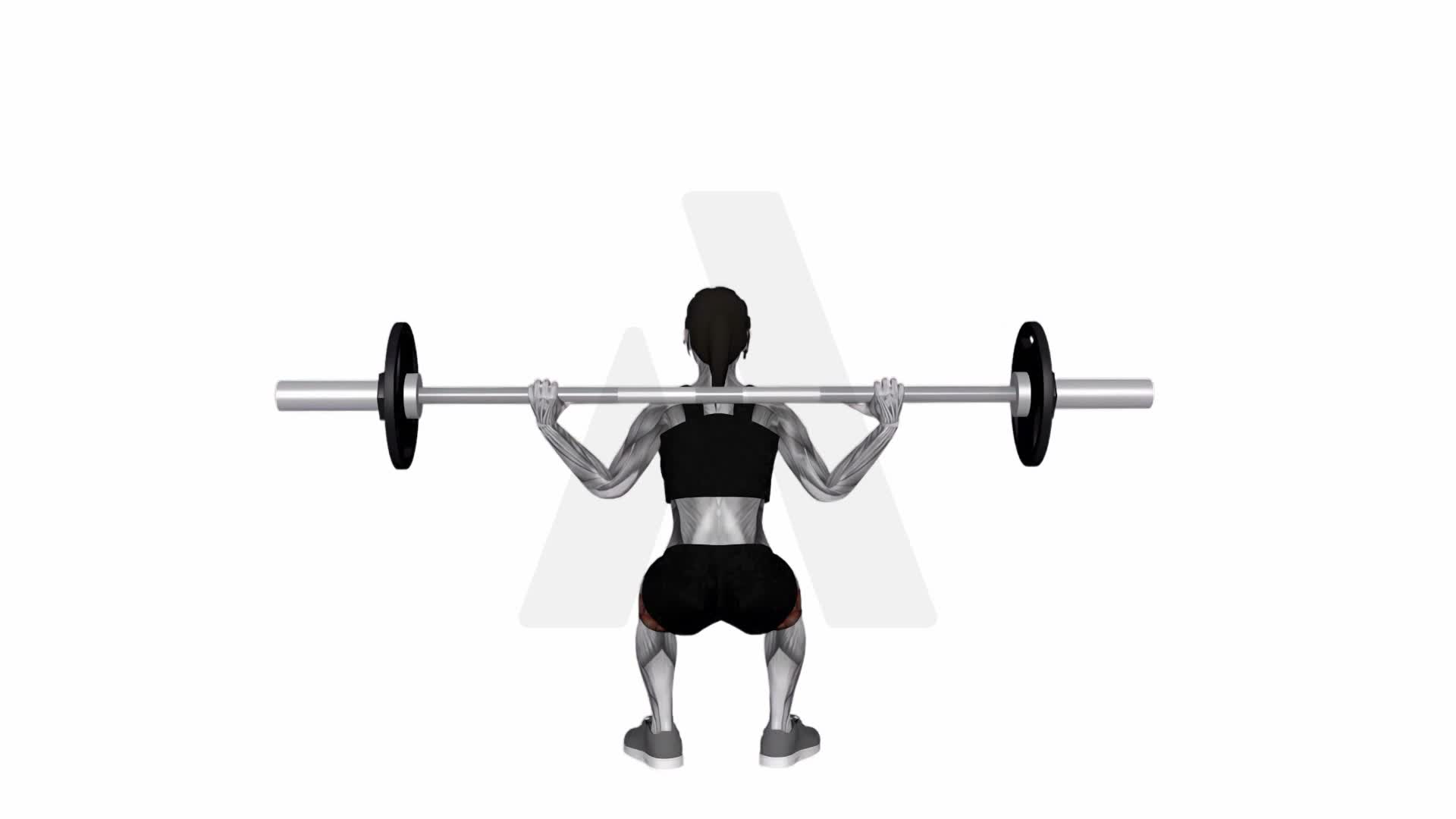 Barbell Full Squat(Back) exercise demonstration