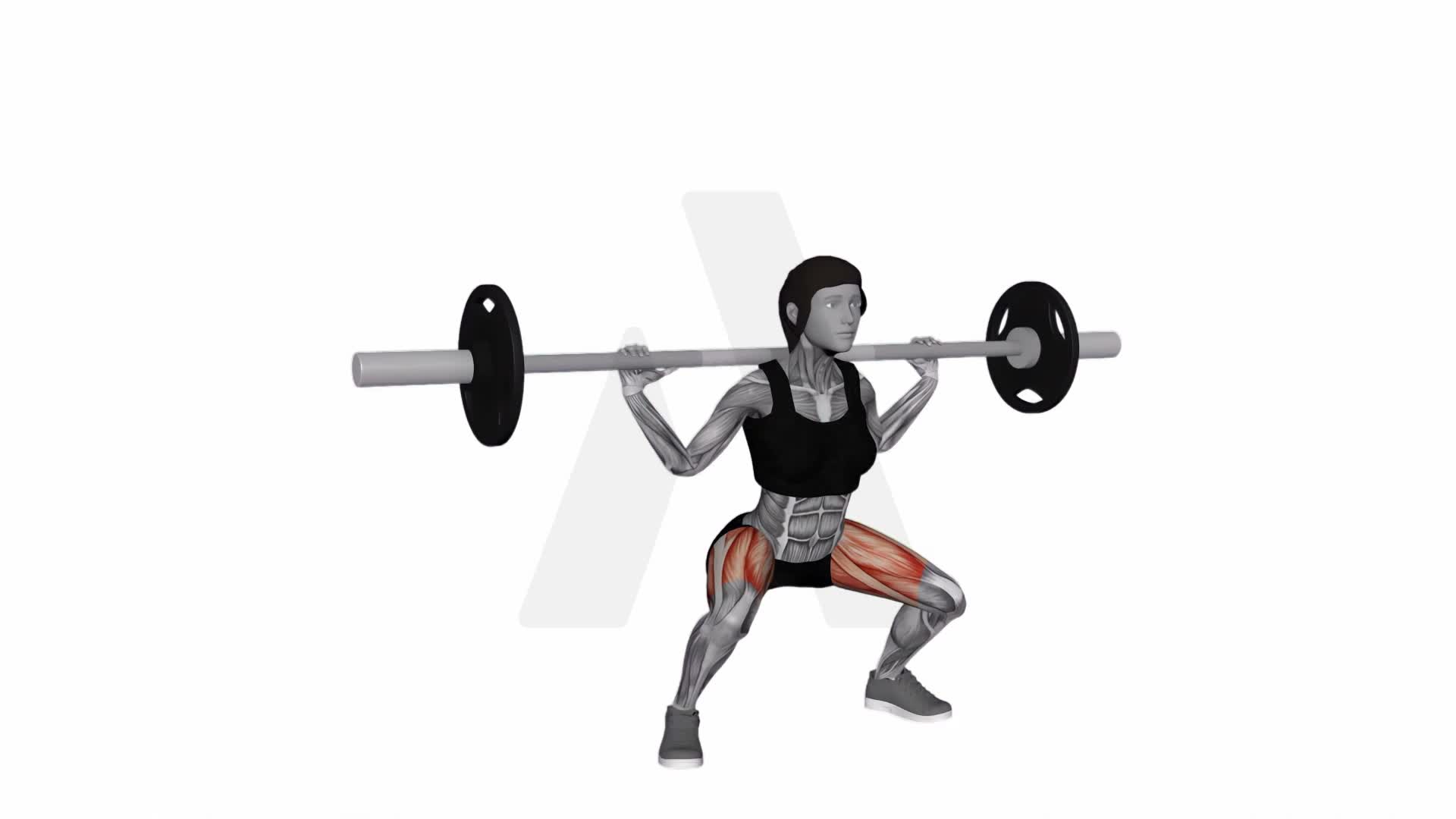 Barbell Full Squat Wide exercise demonstration