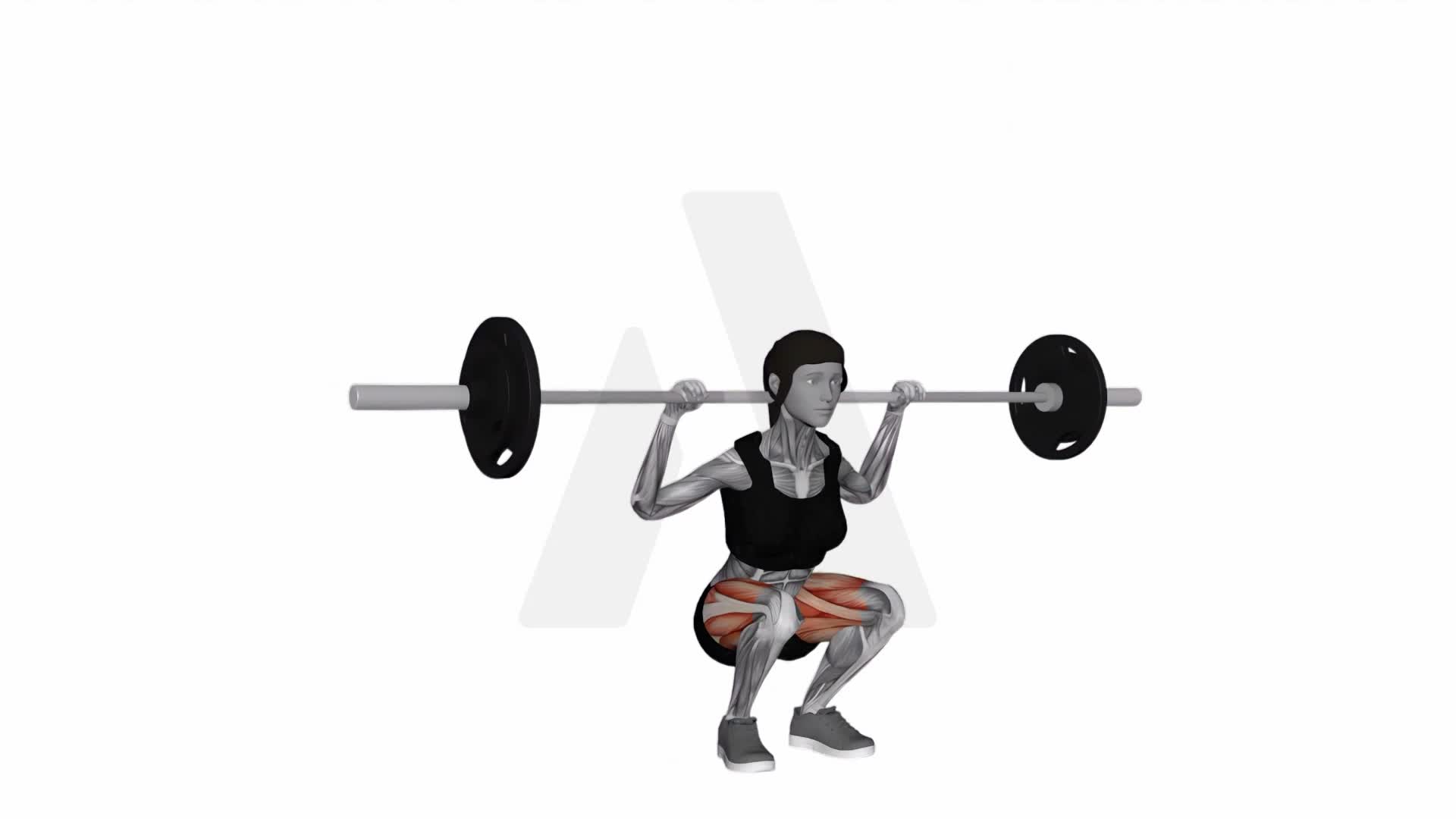 Back Squat exercise demonstration