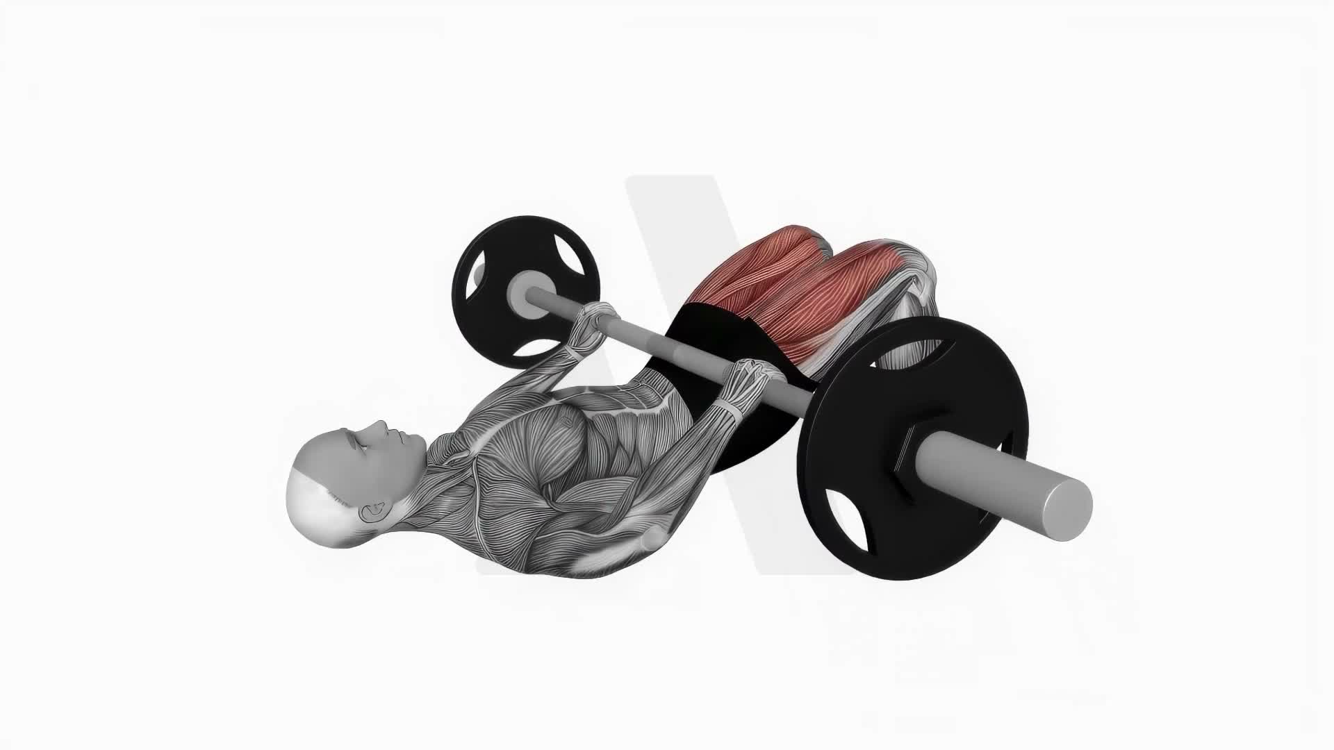 Barbell Glute Bridge exercise demonstration