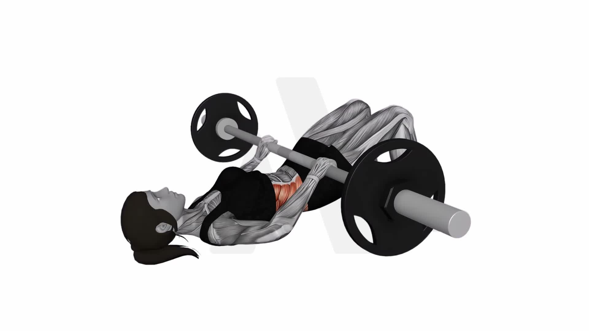 Barbell Glute Bridge (Hands On Bar) exercise demonstration