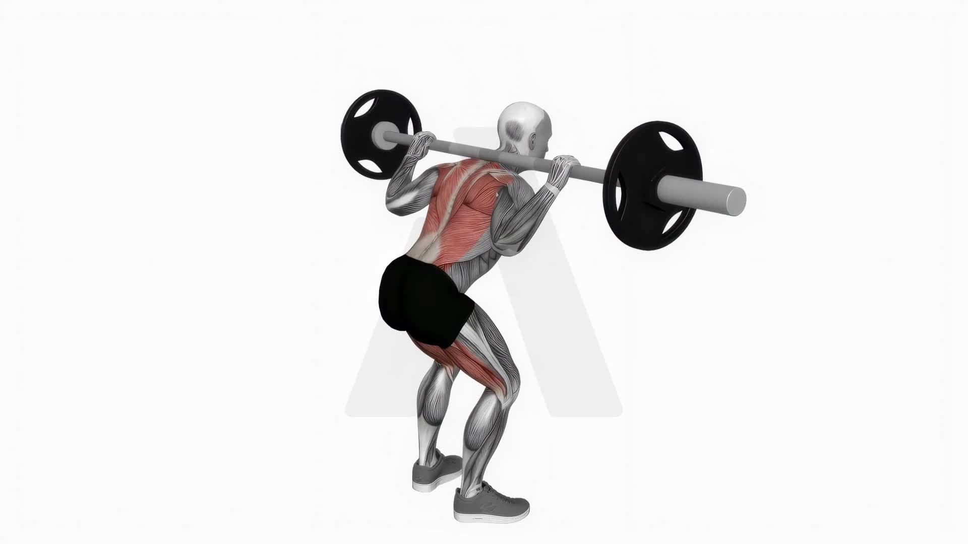 Barbell Good Morning exercise demonstration