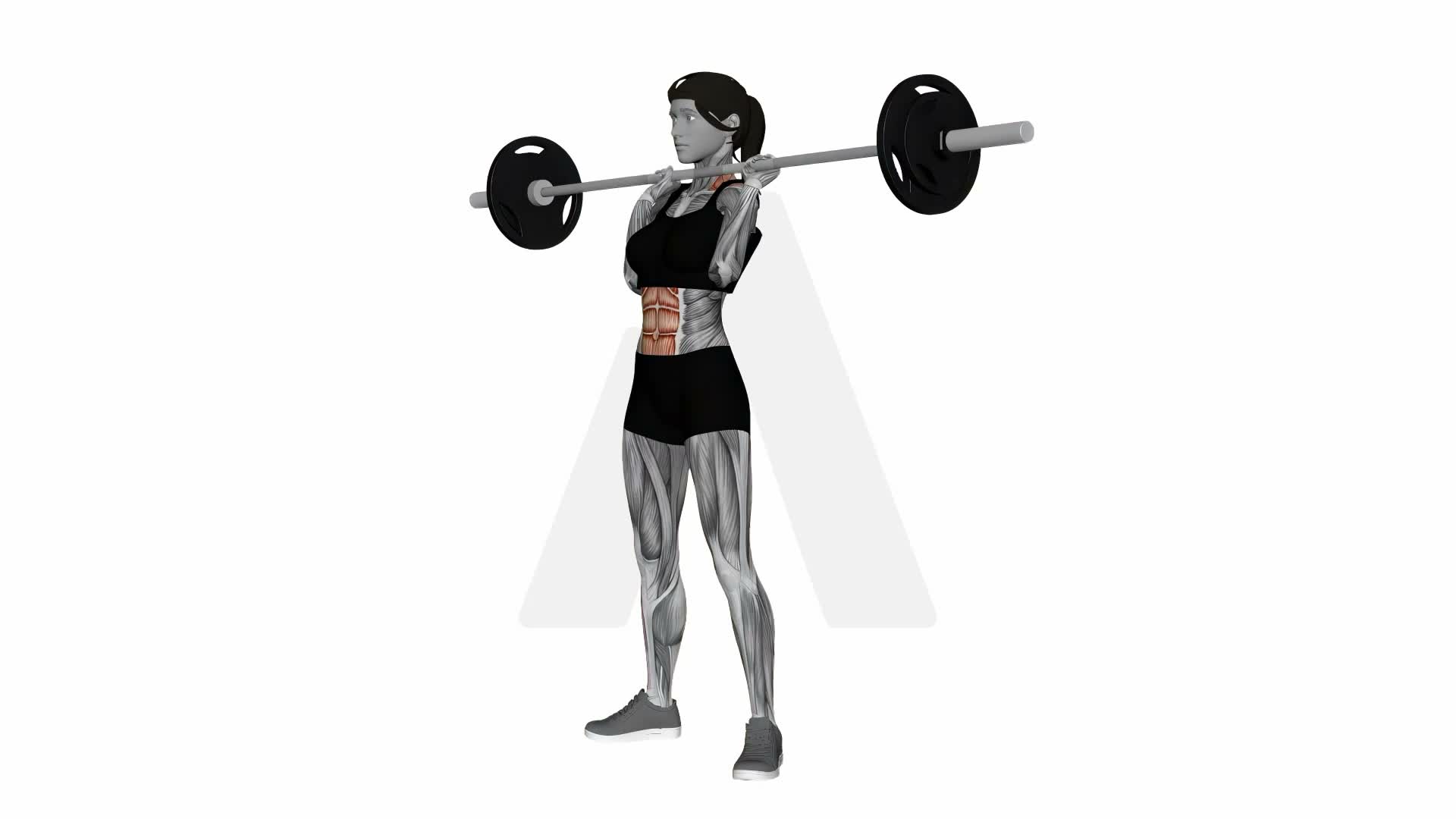 Barbell Hang Clean exercise demonstration