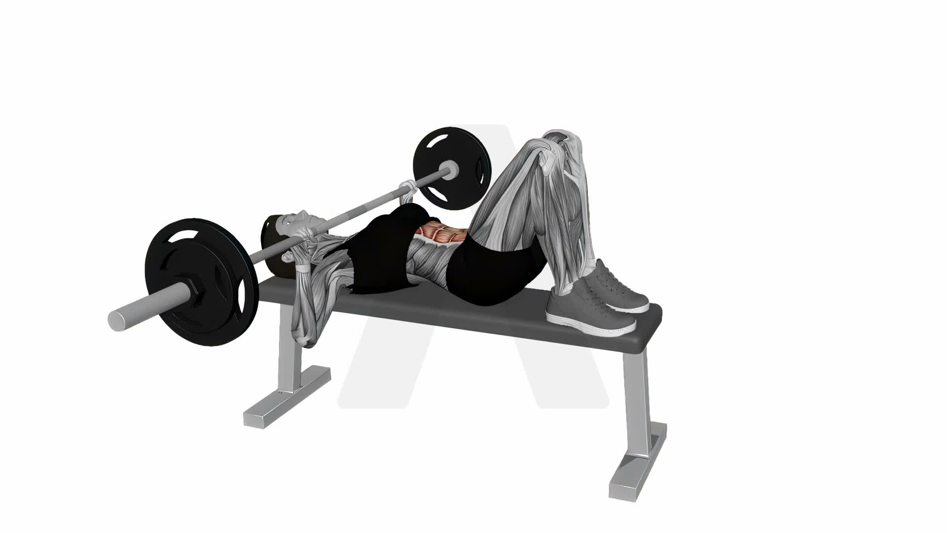 Barbell Hooklying Bench Press exercise demonstration