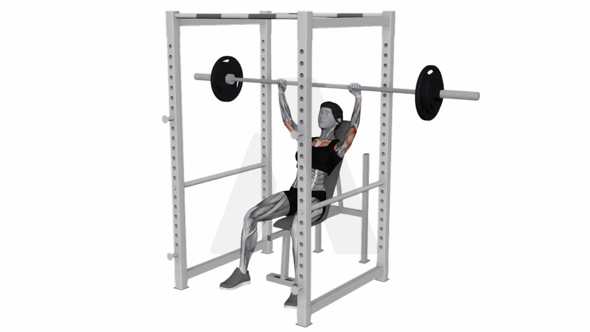 Barbell Incline Shoulders Press (Inside Squat Cage) exercise demonstration