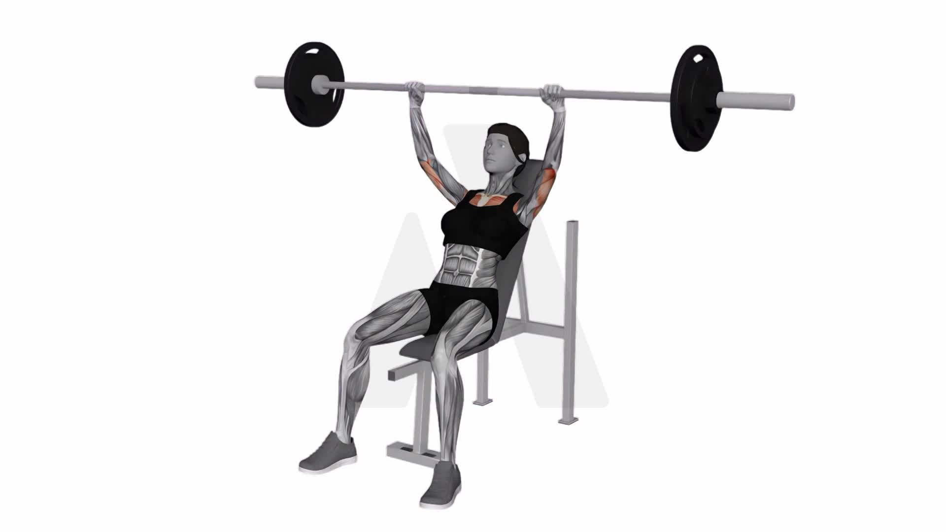 Barbell Incline Shoulders Press exercise demonstration