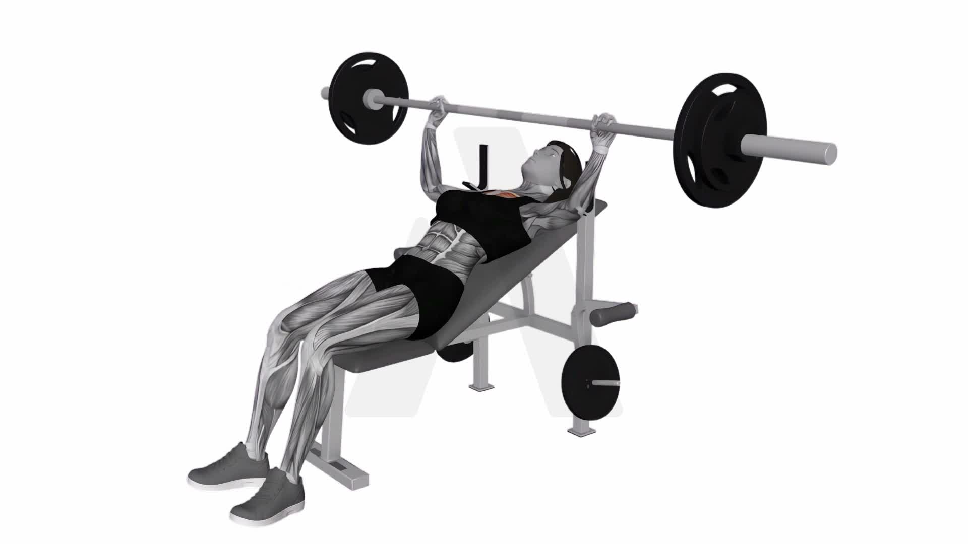 Barbell Inclined Bench Press exercise demonstration