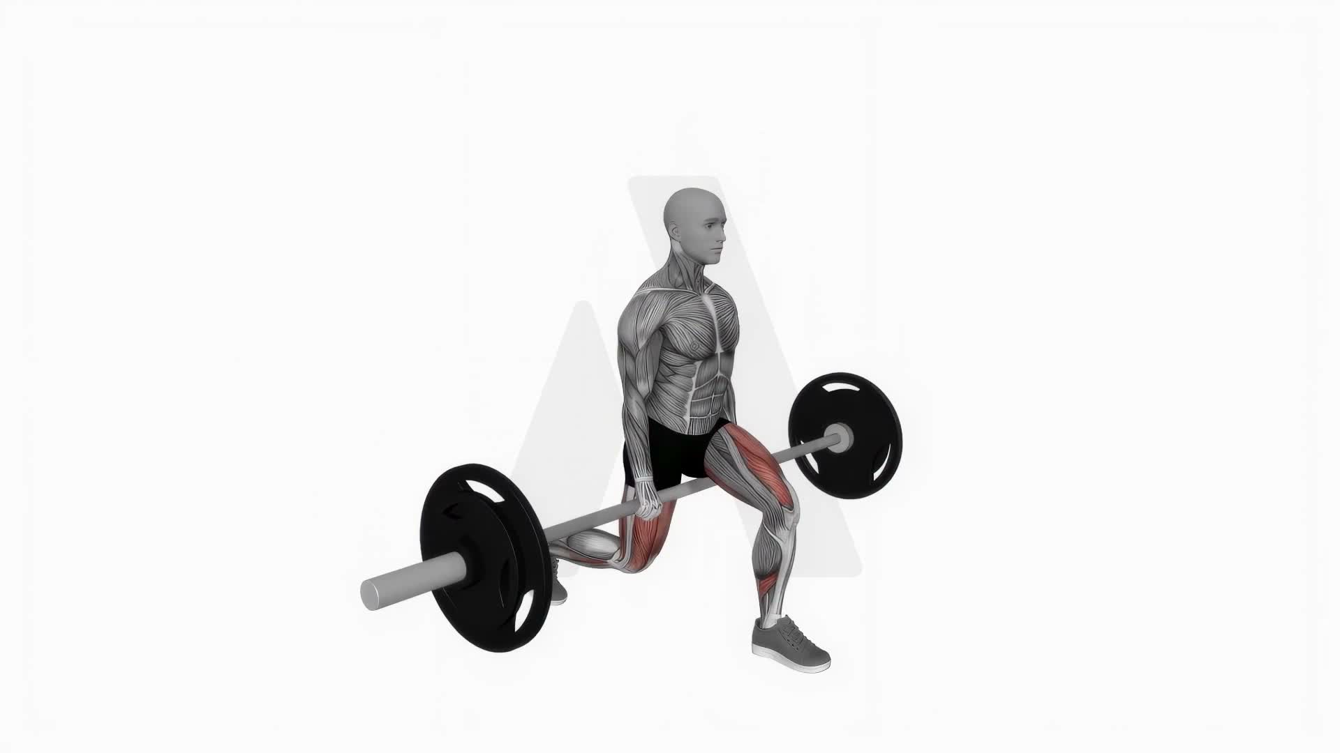 Barbell Jefferson Split Squat exercise demonstration