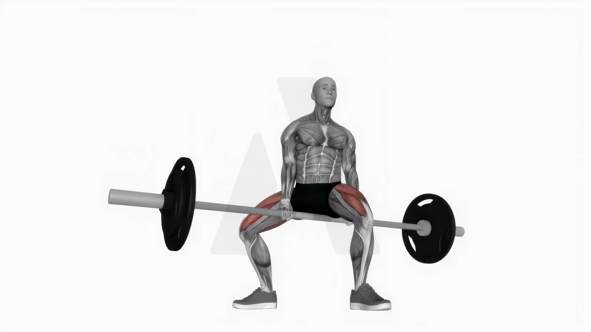 Barbell Jefferson Squat exercise demonstration