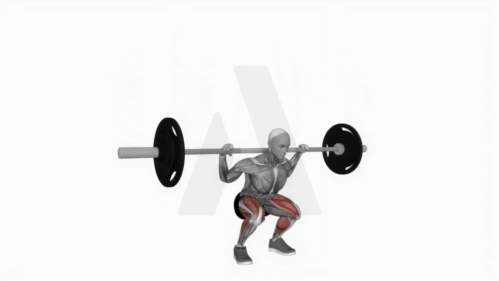 Barbell Jump Squat exercise demonstration