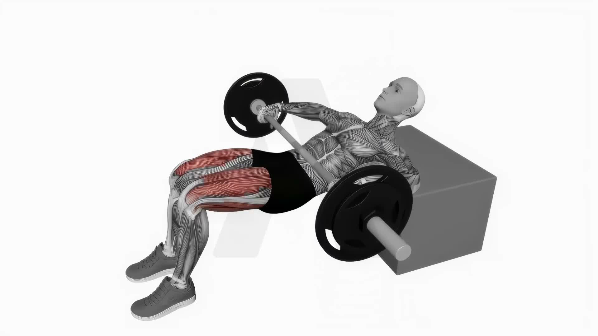 Barbell Kas Glute Bridge exercise demonstration