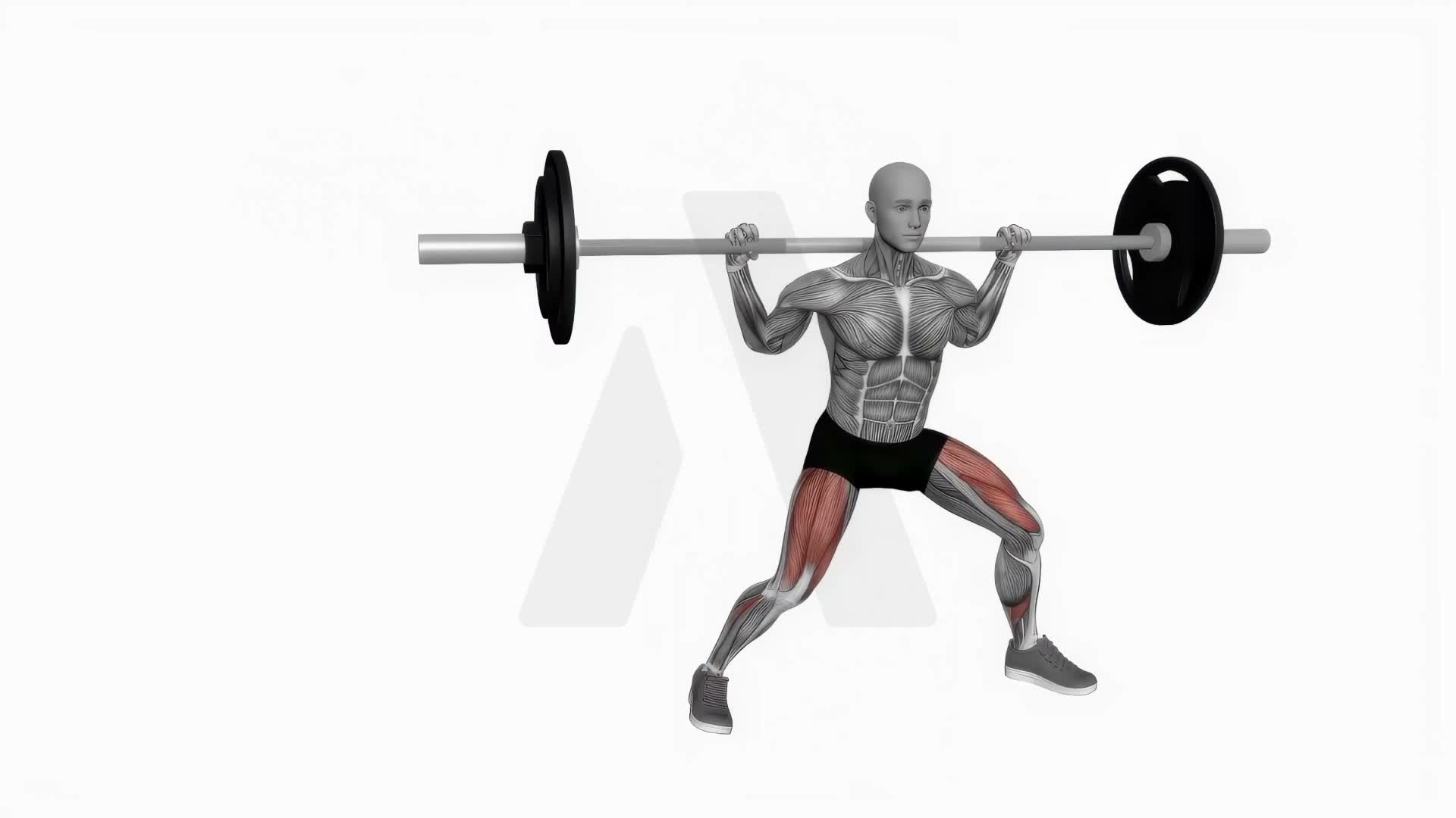 Barbell Lateral Lunges exercise demonstration