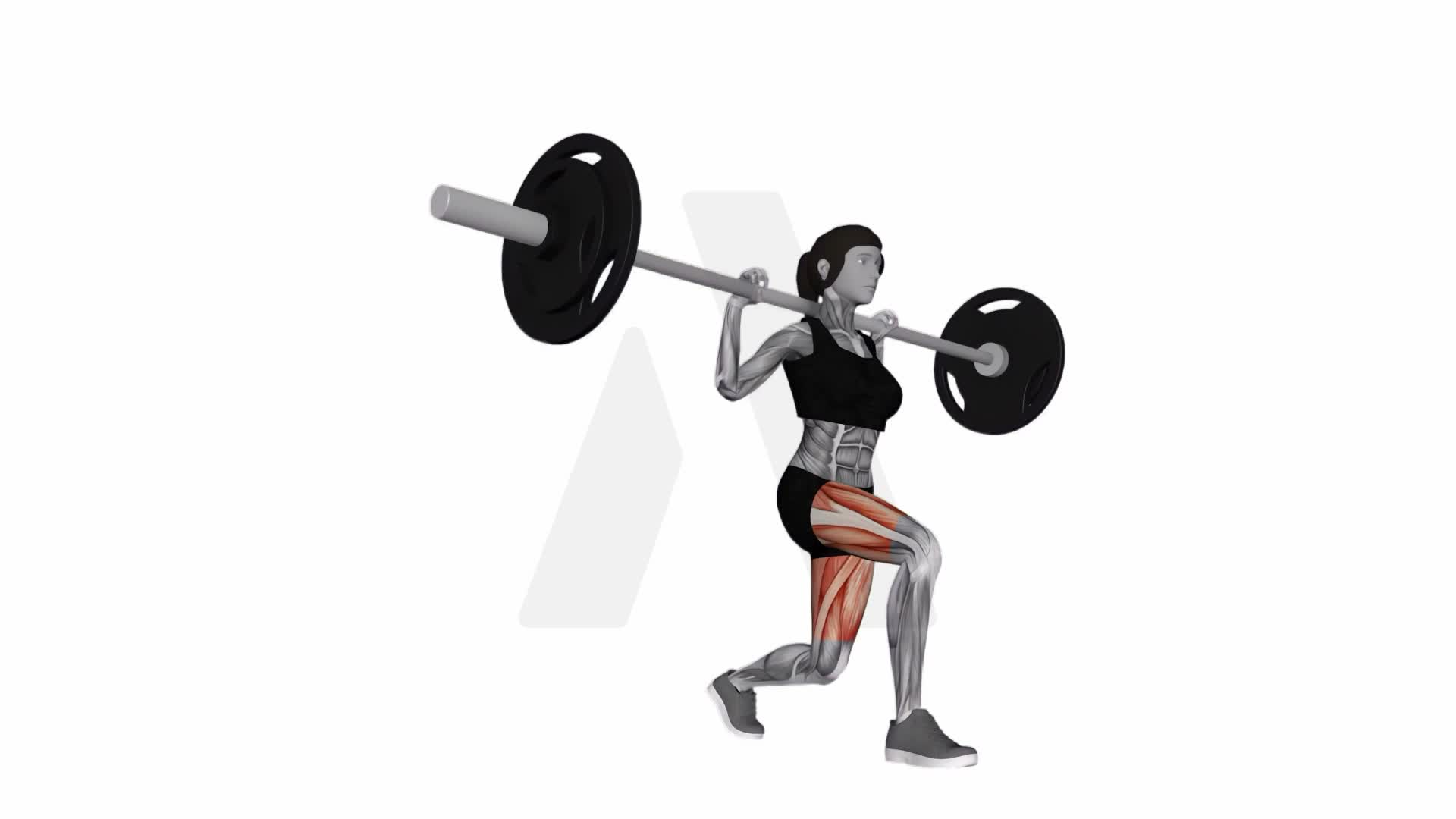 Barbell Lunge exercise demonstration