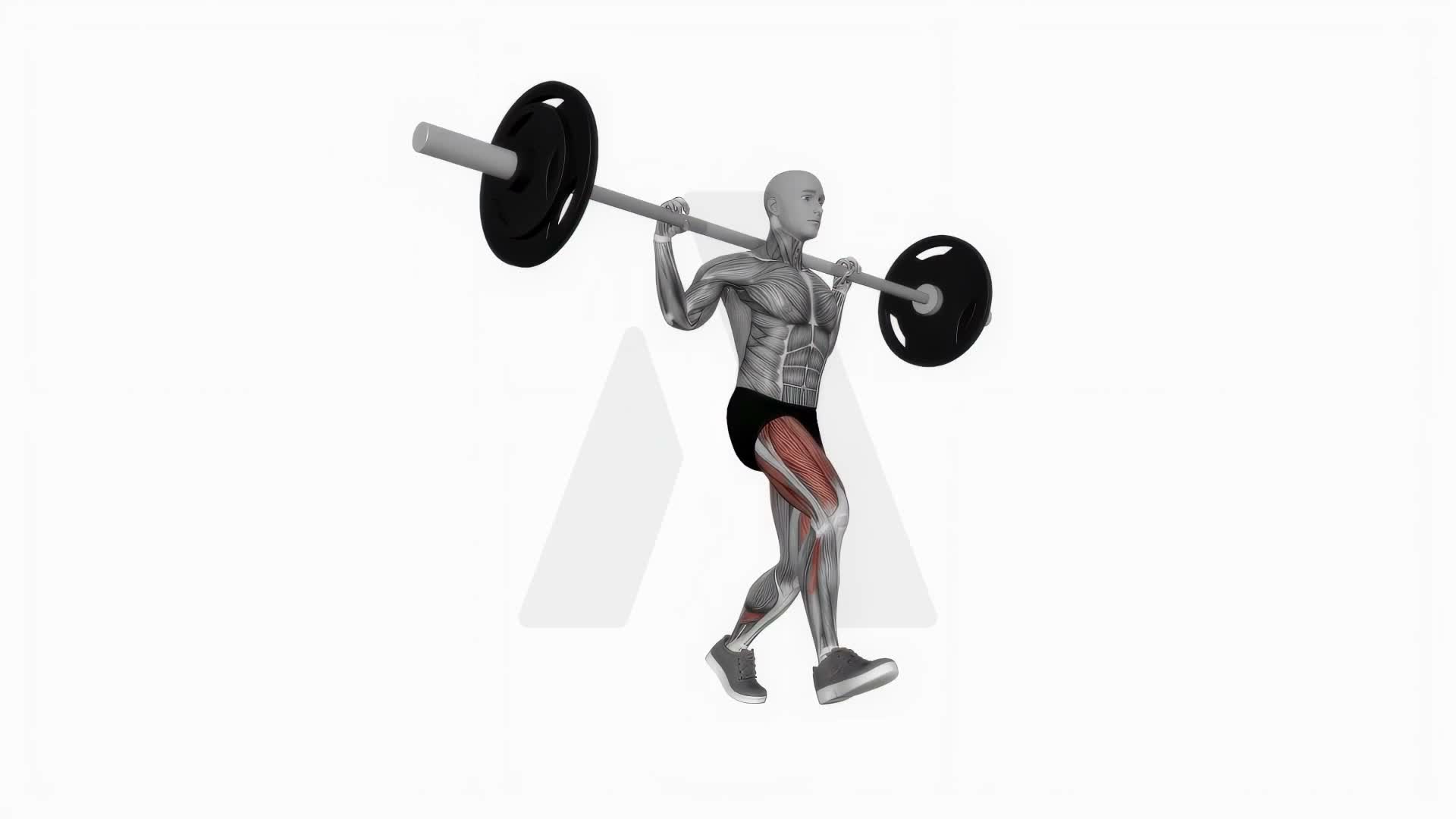 Barbell Lunges exercise demonstration