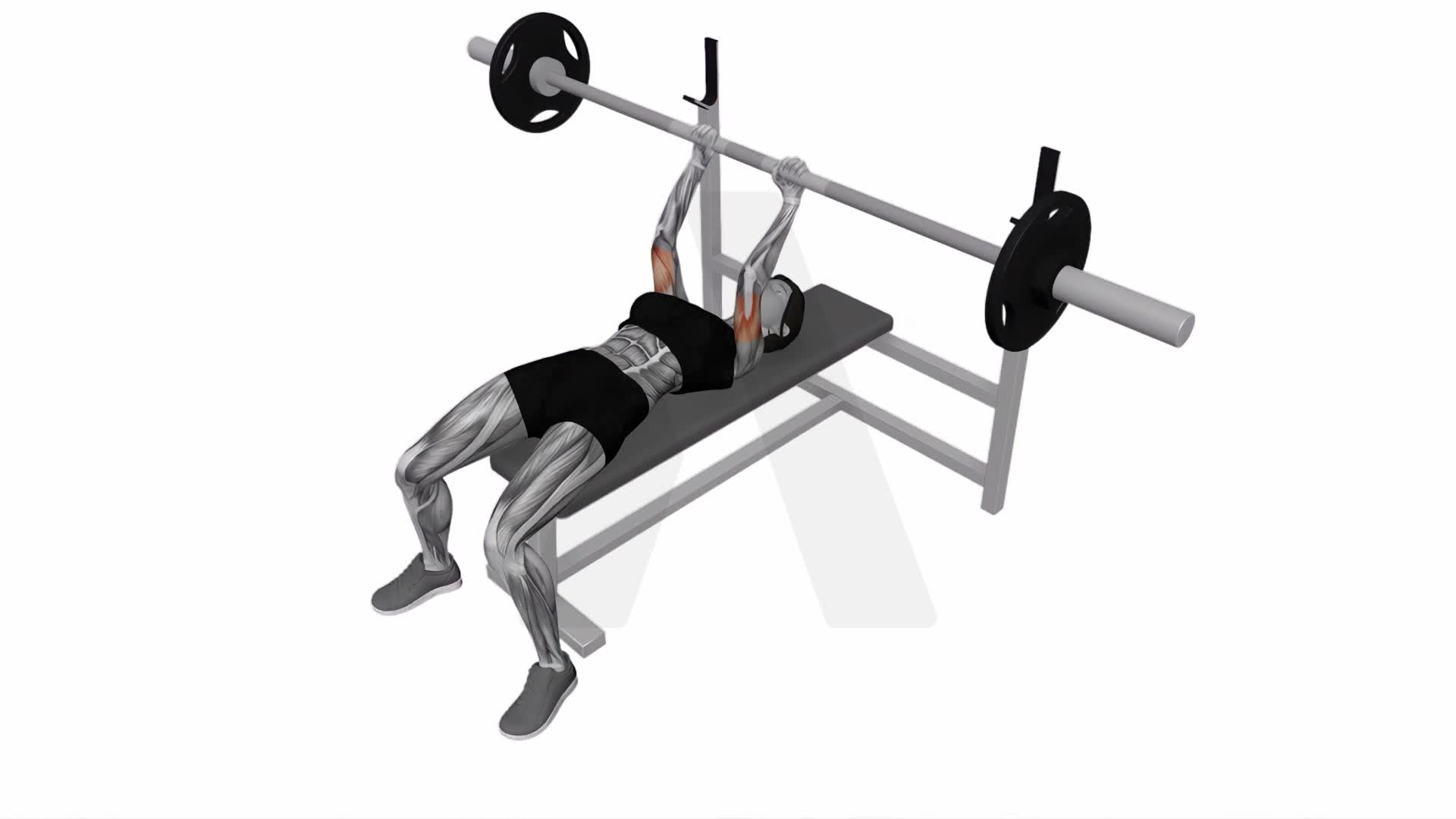 Barbell Lying Extension exercise demonstration