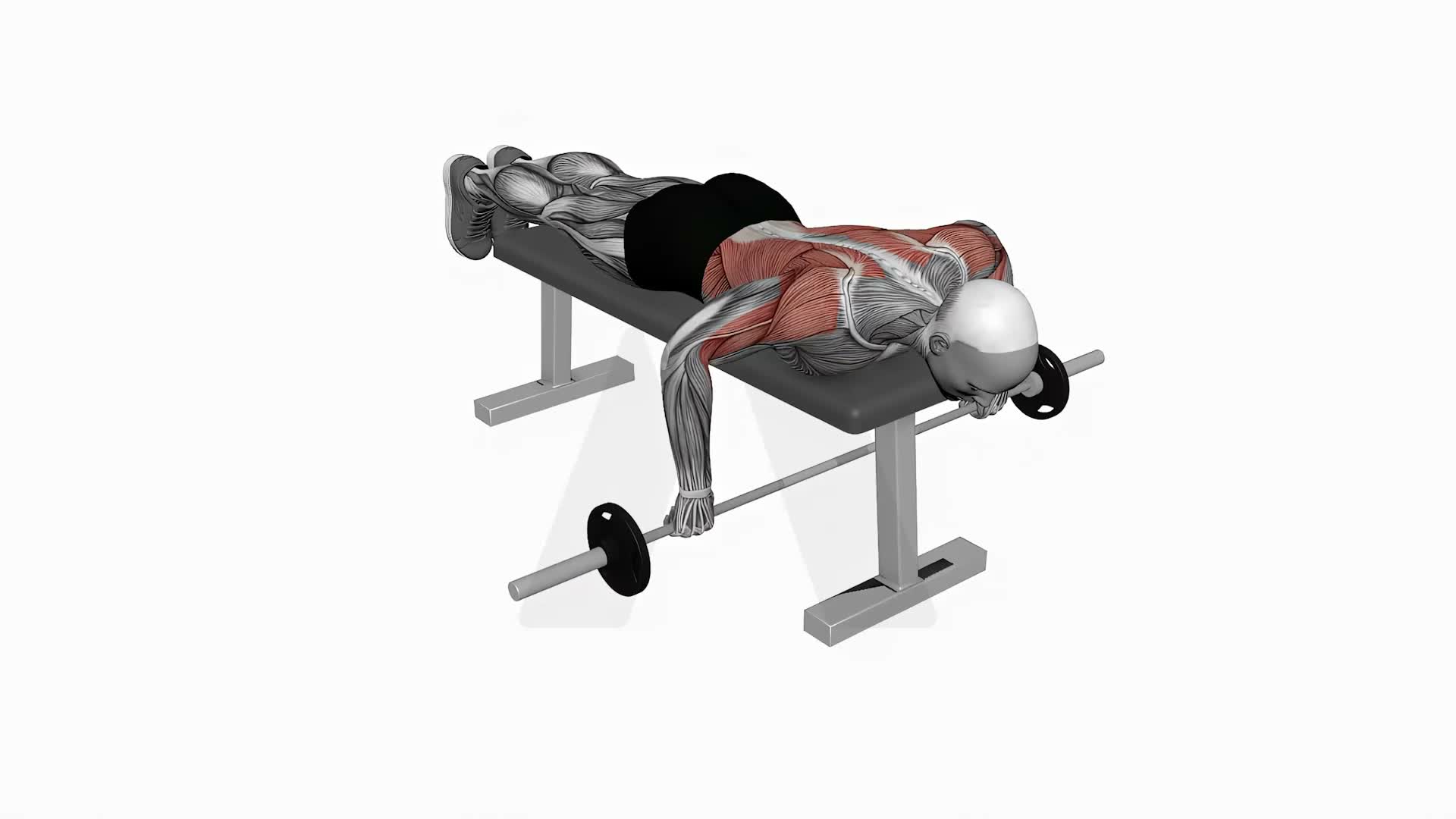 Barbell Lying Row exercise demonstration