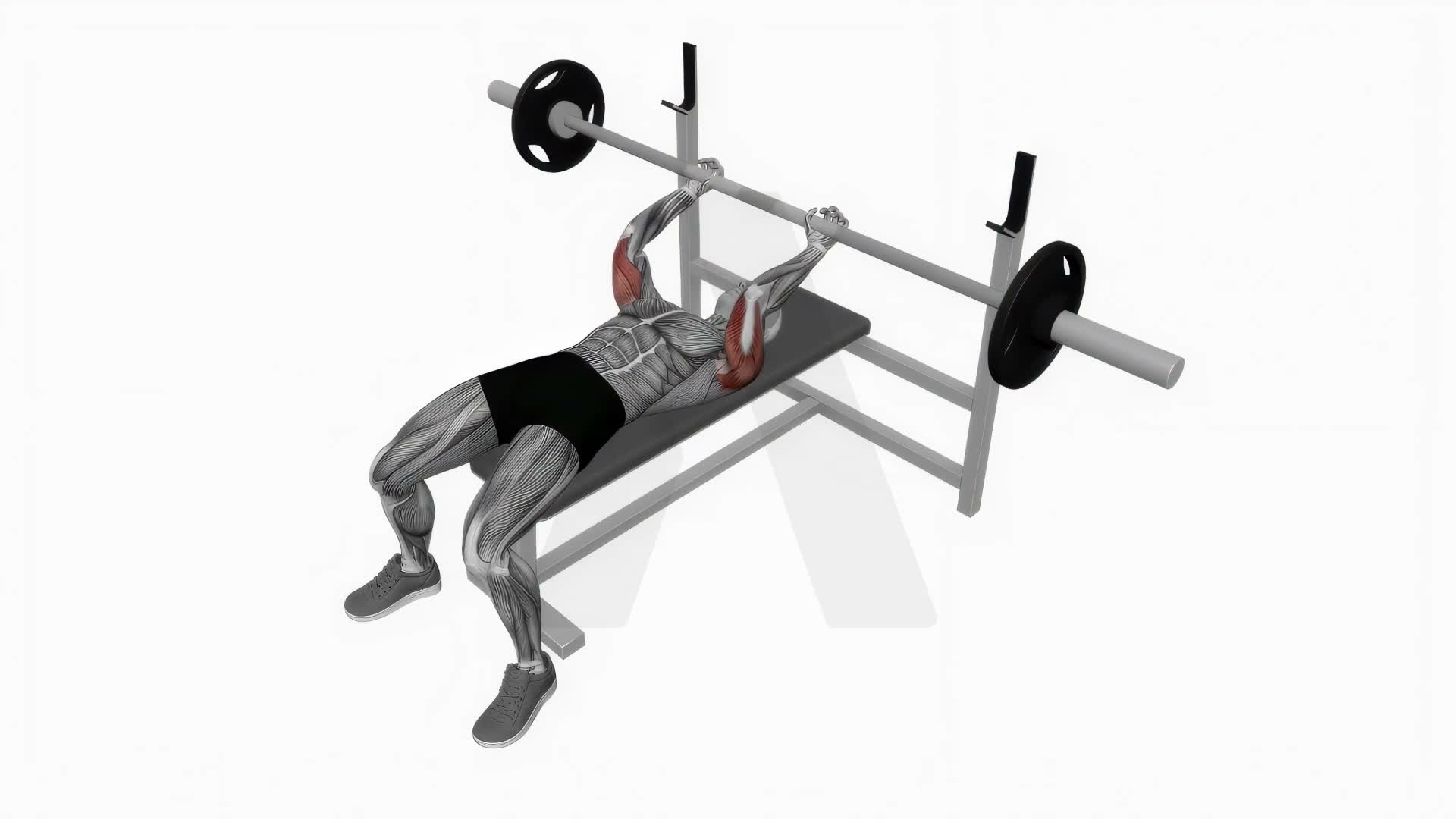 Barbell Lying Triceps Extension exercise demonstration