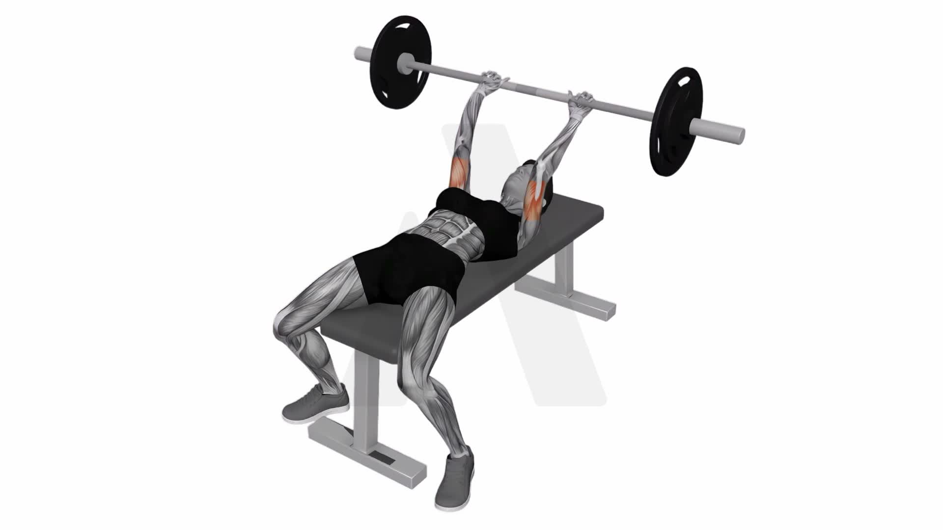 Barbell Lying Triceps Skull Crusher exercise demonstration