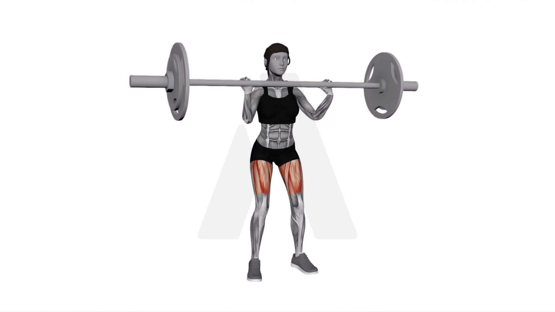 Barbell Muscle Clean exercise demonstration