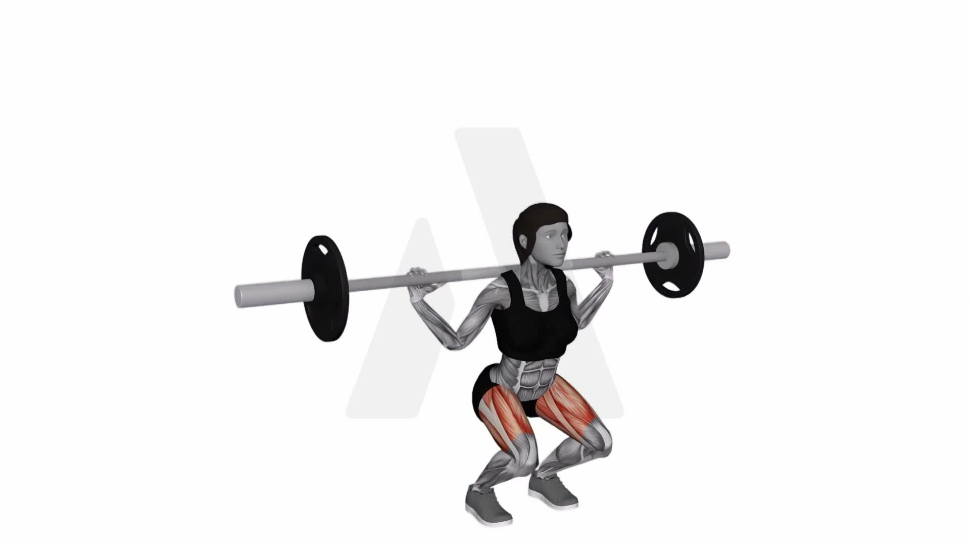 Barbell Narrow Stance Full Squat exercise demonstration