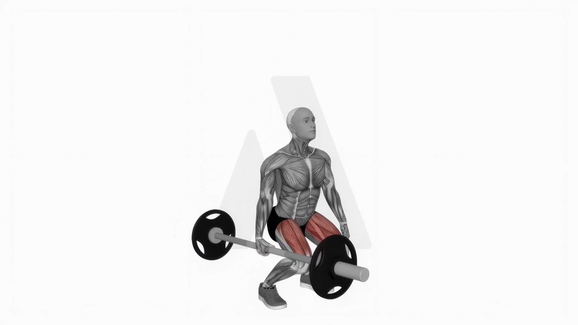 Barbell One Arm Single Deadlift exercise demonstration