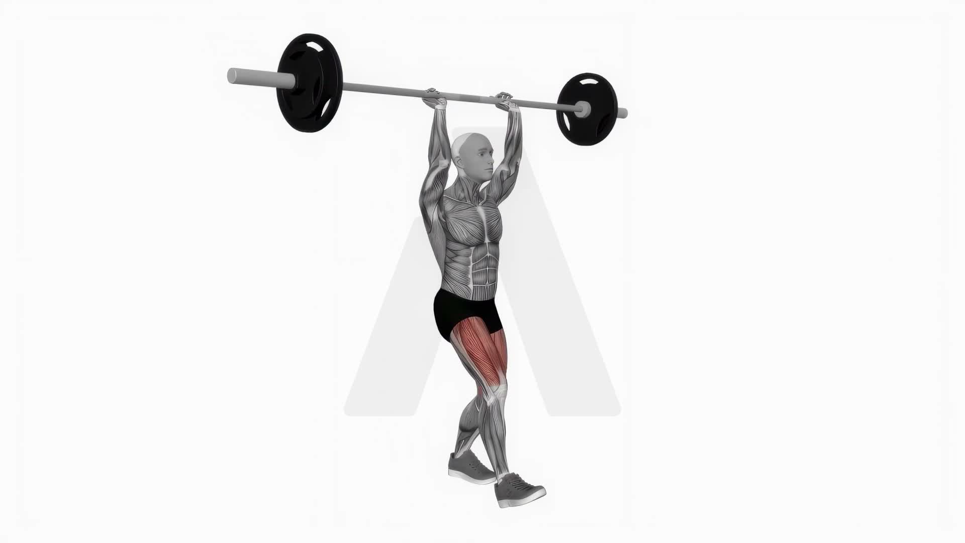 Barbell Overhead Lunges exercise demonstration