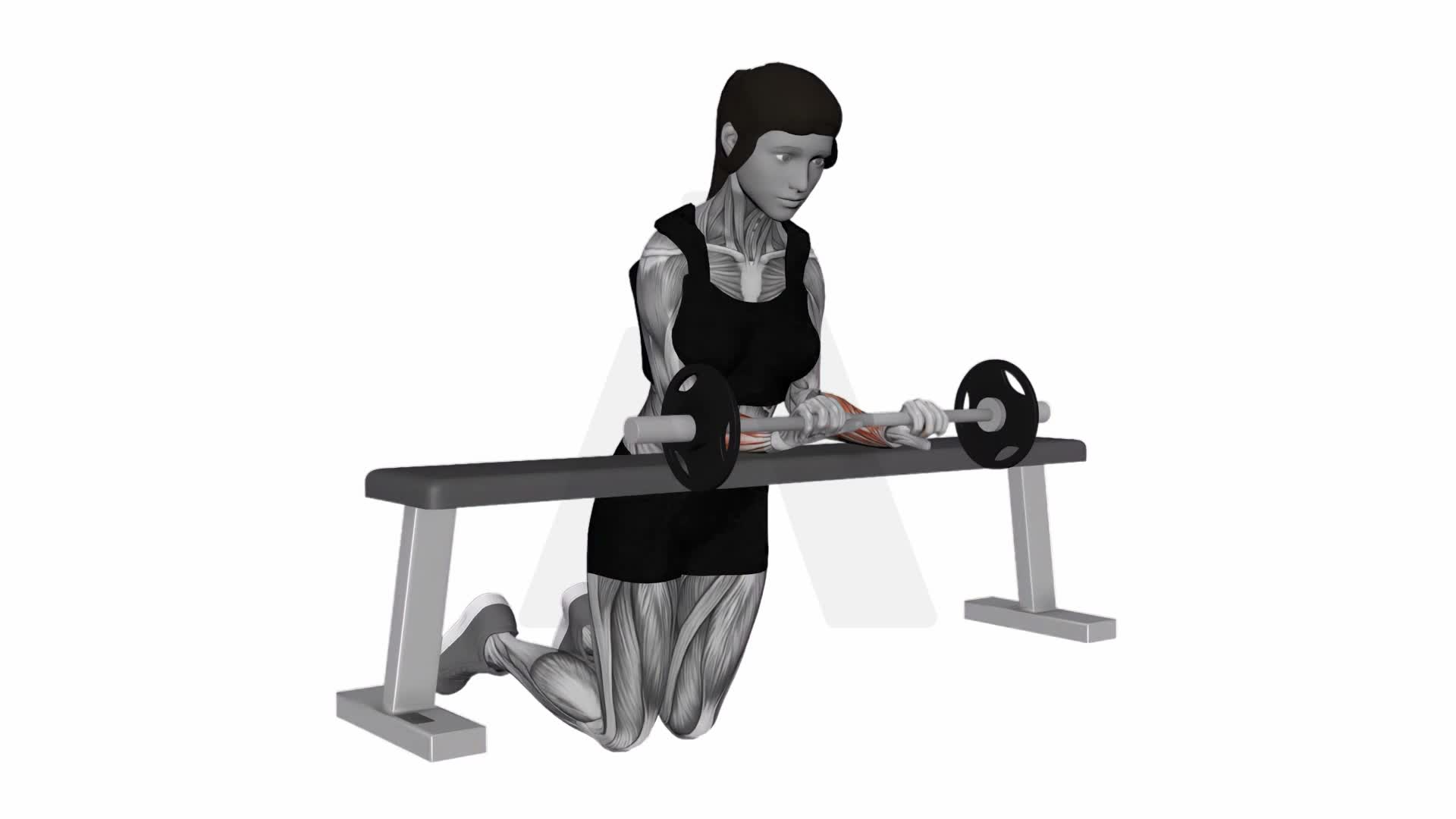 Barbell Palm Down Wrist Curl Over A Bench exercise demonstration