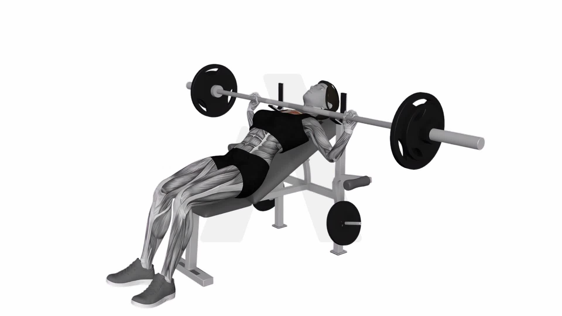 Barbell Pause Incline Bench Press exercise demonstration